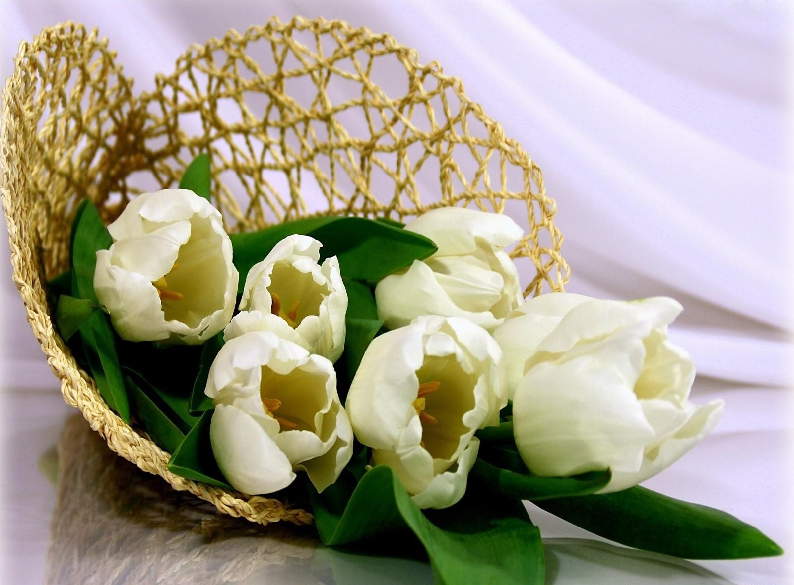 flowers, tulips, white, bouquet, bag, weaving, braiding, kulek