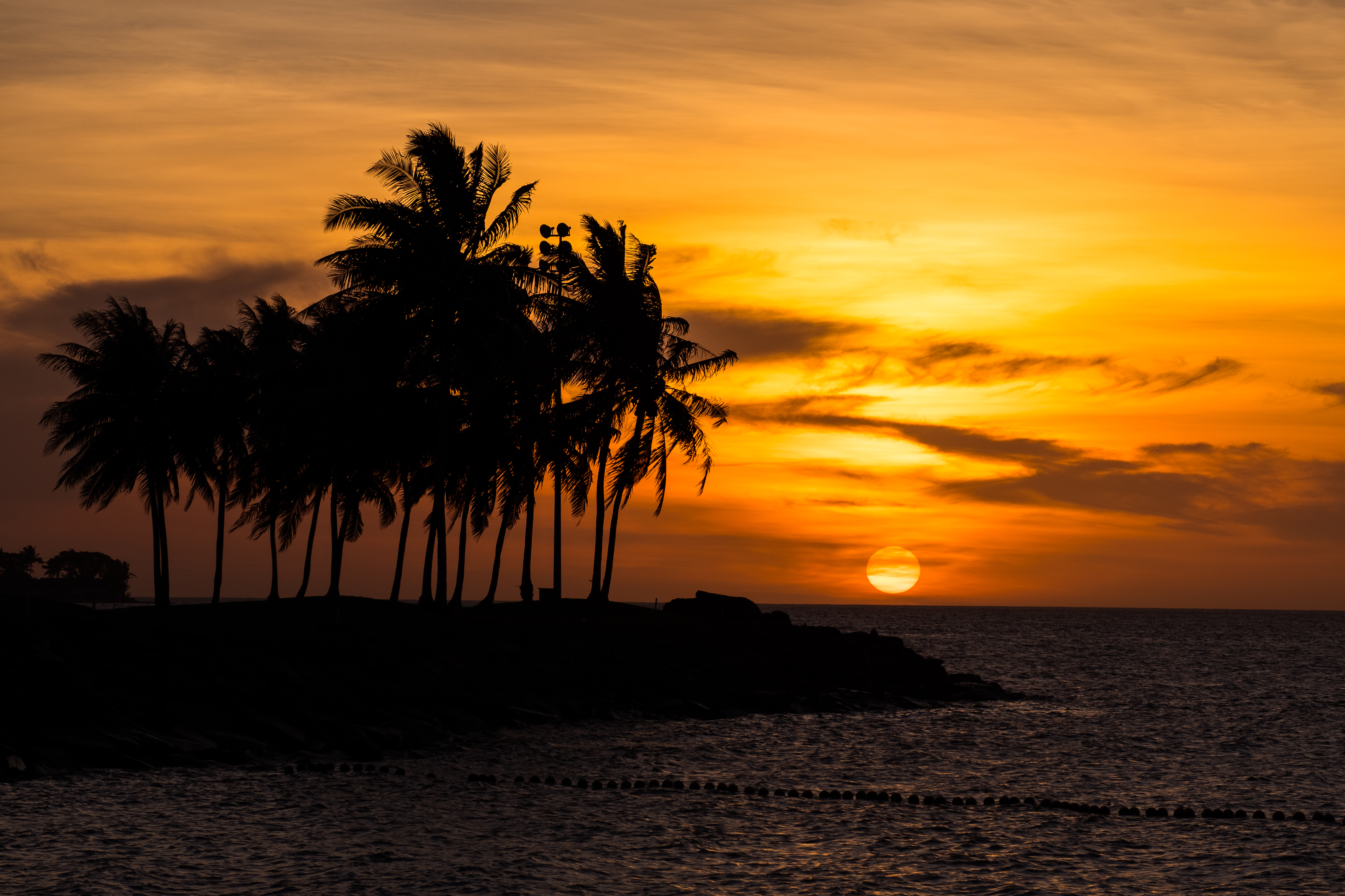 Free download wallpaper Sunset, Palm, Sea, Dark, Beach on your PC desktop