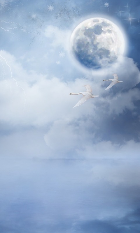 Handy-Wallpaper Fantasie, Mond, Vogel, Schwan, Wolke, Fantasietiere kostenlos herunterladen.