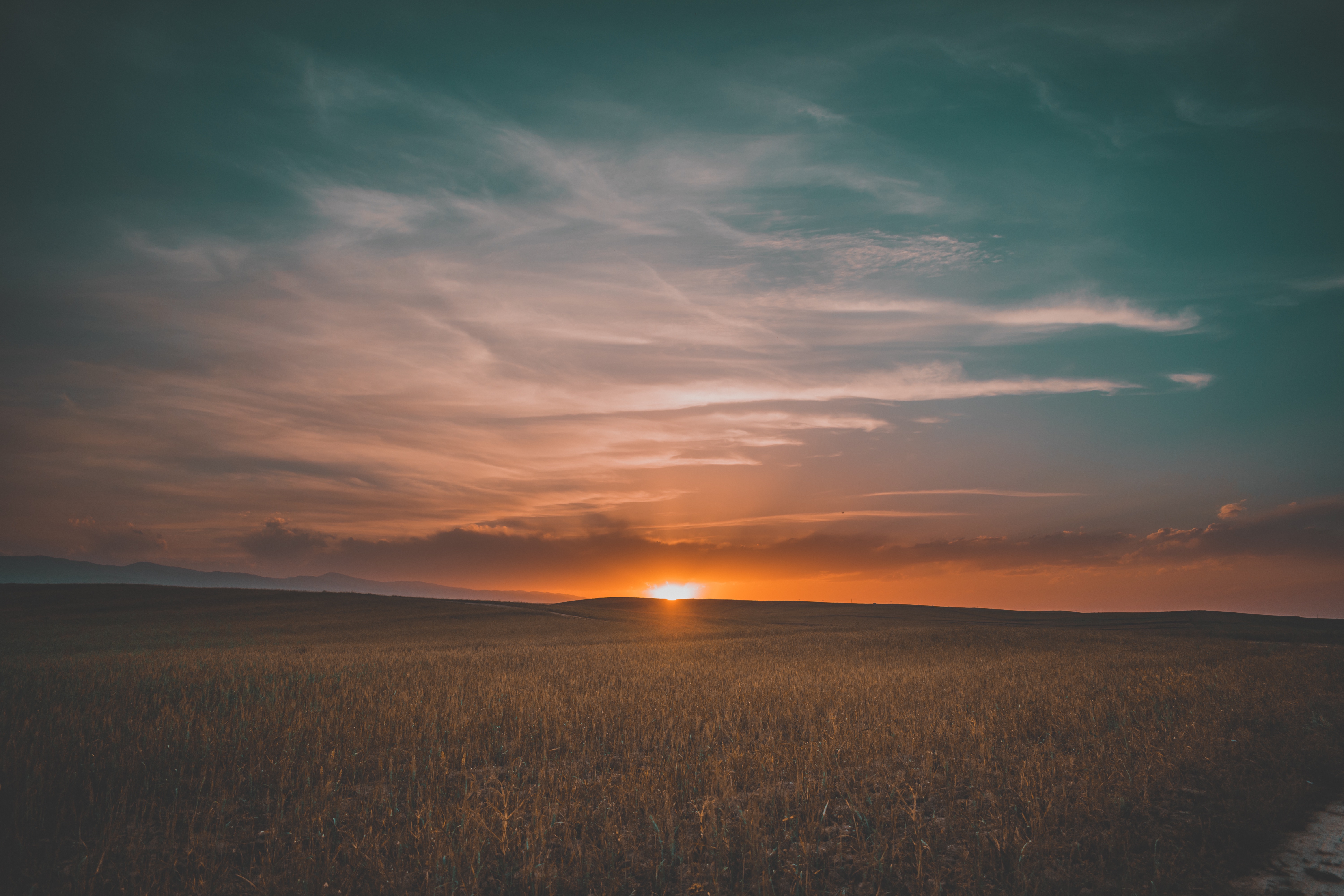 Free download wallpaper Sunset, Grass, Sky, Field, Nature on your PC desktop
