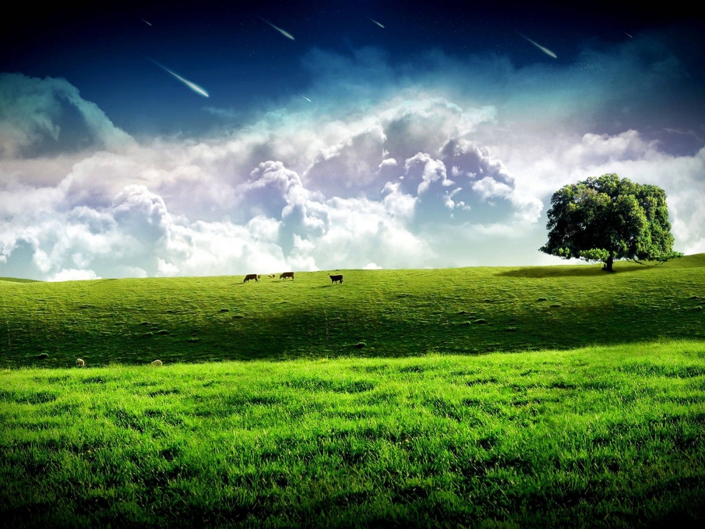 Download mobile wallpaper Landscape, Nature, Fields for free.