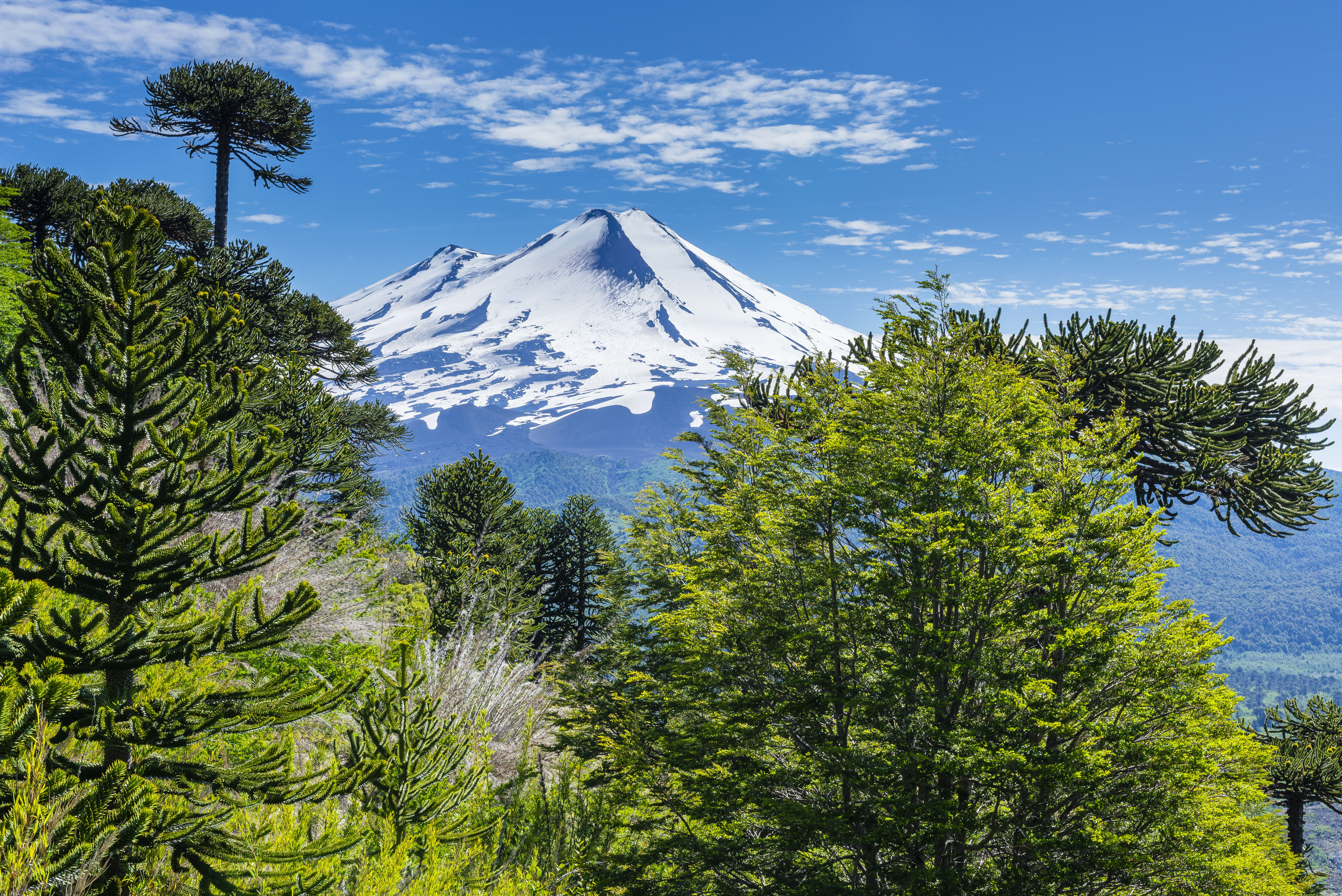 Laden Sie das Landschaft, Natur, Baum, Gebirge, Vulkan, Vulkane, Erde/natur-Bild kostenlos auf Ihren PC-Desktop herunter