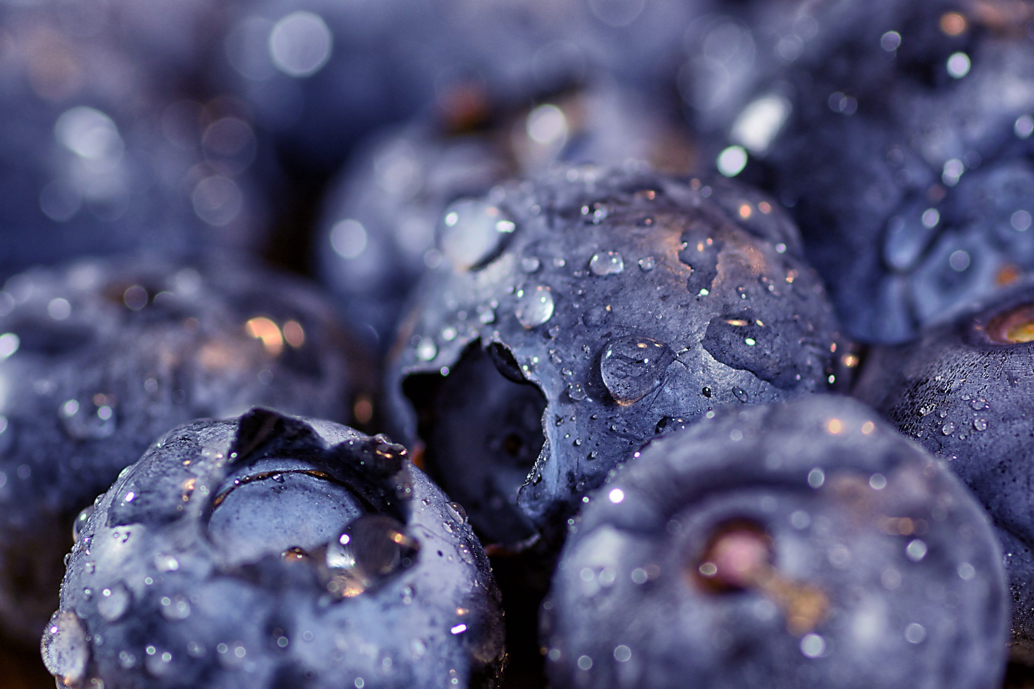 Handy-Wallpaper Nahansicht, Frucht, Wassertropfen, Heidelbeere, Nahrungsmittel kostenlos herunterladen.