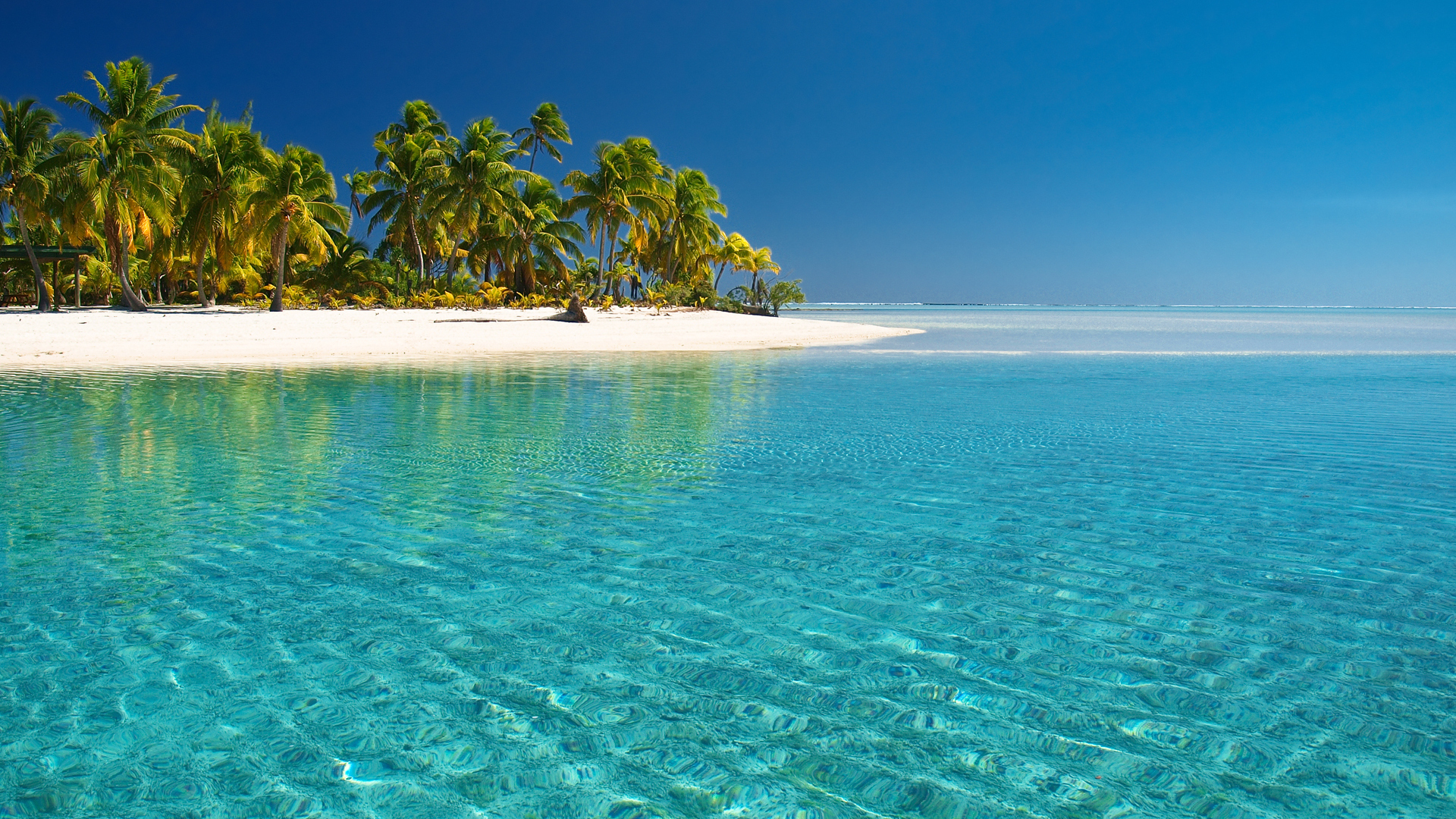 landscape, beach, sea, palms, turquoise Full HD
