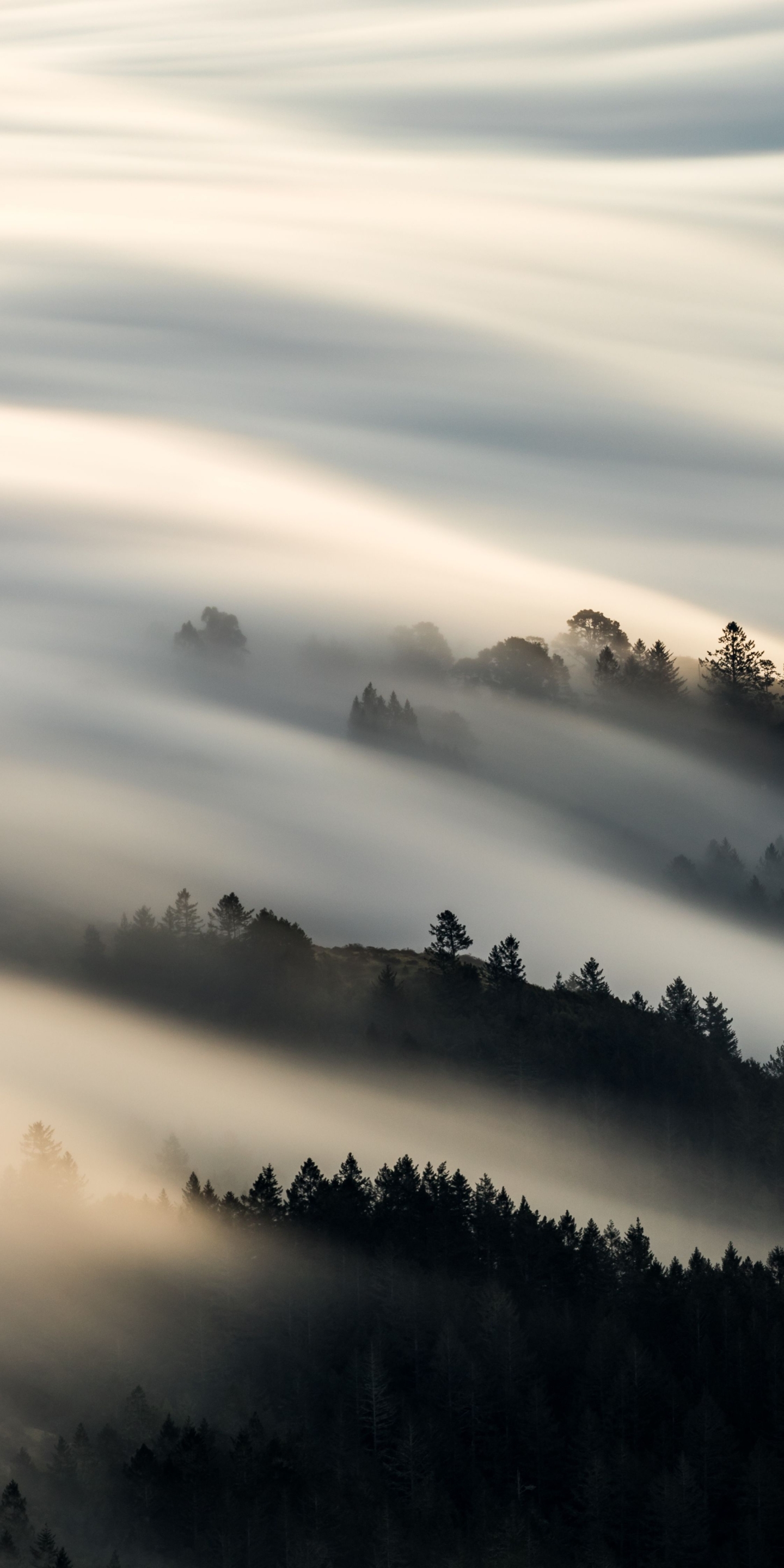 Download mobile wallpaper Nature, Fog, Earth for free.
