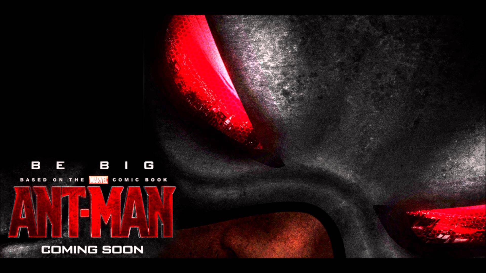 Ant Man  HD desktop images