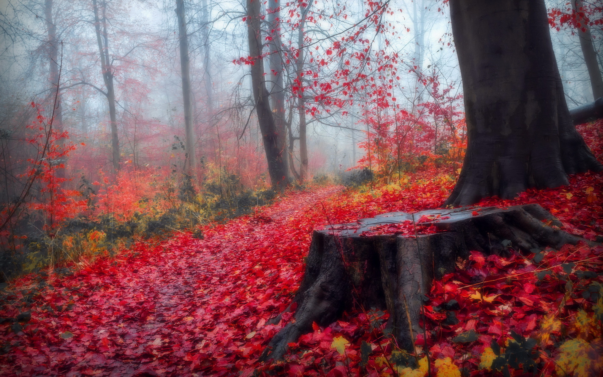 Handy-Wallpaper Herbst, Erde/natur kostenlos herunterladen.