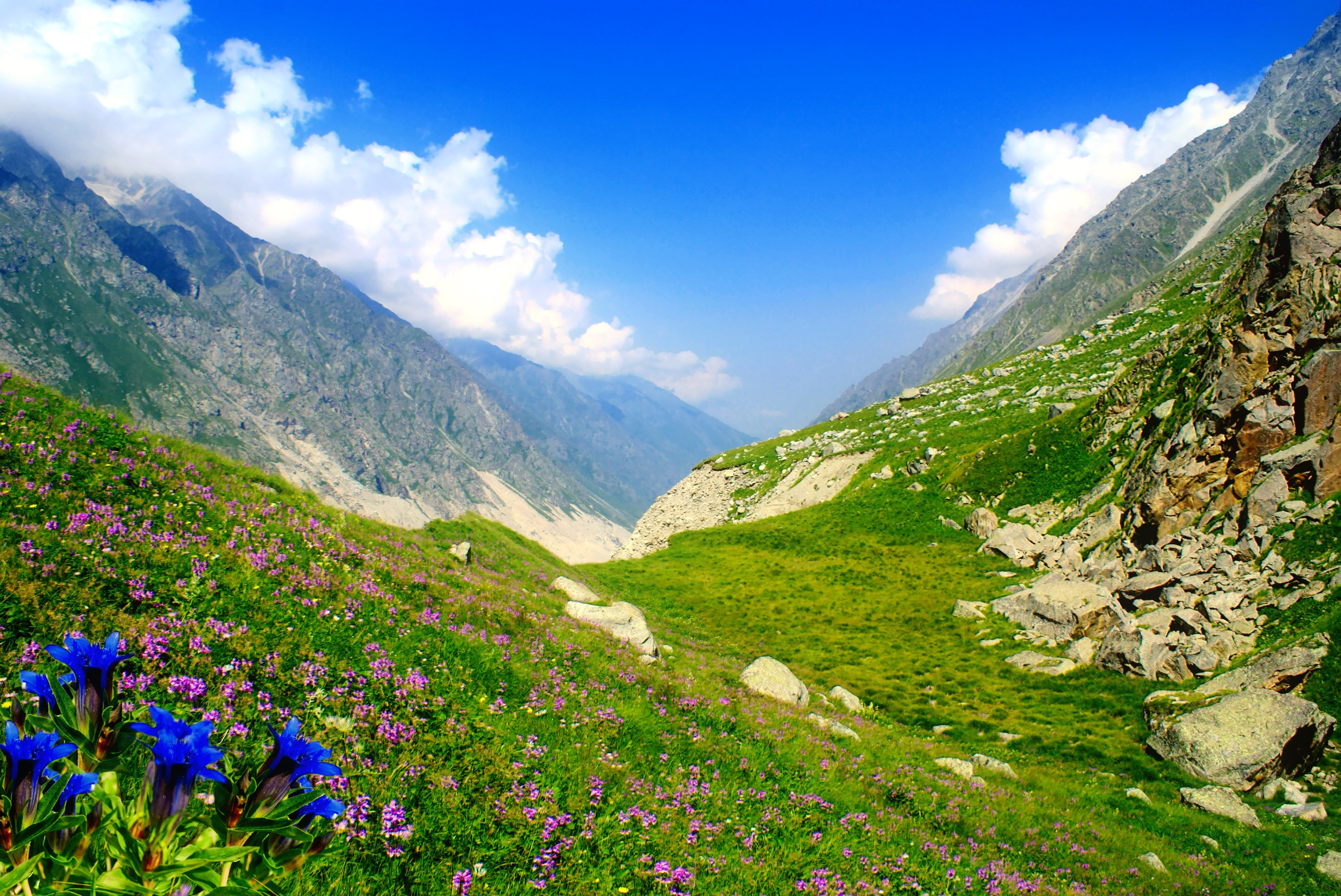 Free download wallpaper Landscape, Mountains, Mountain, Flower, Earth, Valley, Spring on your PC desktop