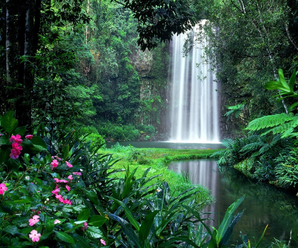 Download mobile wallpaper Water, Waterfalls, Flower, Waterfall, Earth for free.