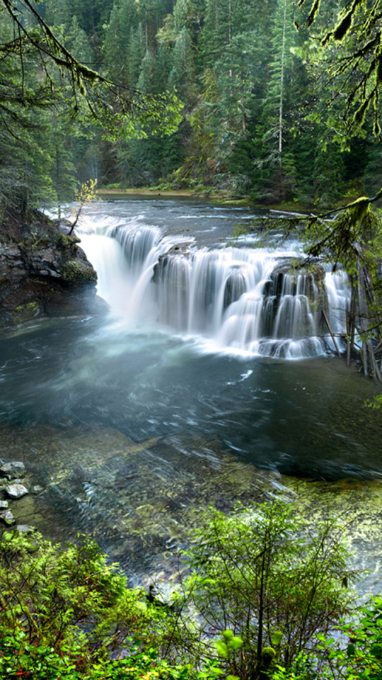 Скачать картинку Водопады, Водопад, Лес, Дерево, Земля, Зеленый, Земля/природа в телефон бесплатно.