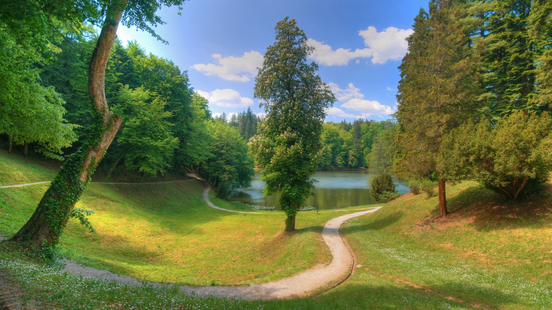 Free download wallpaper Landscape, Nature, Grass, Lake, Park, Tree, Earth, Path on your PC desktop