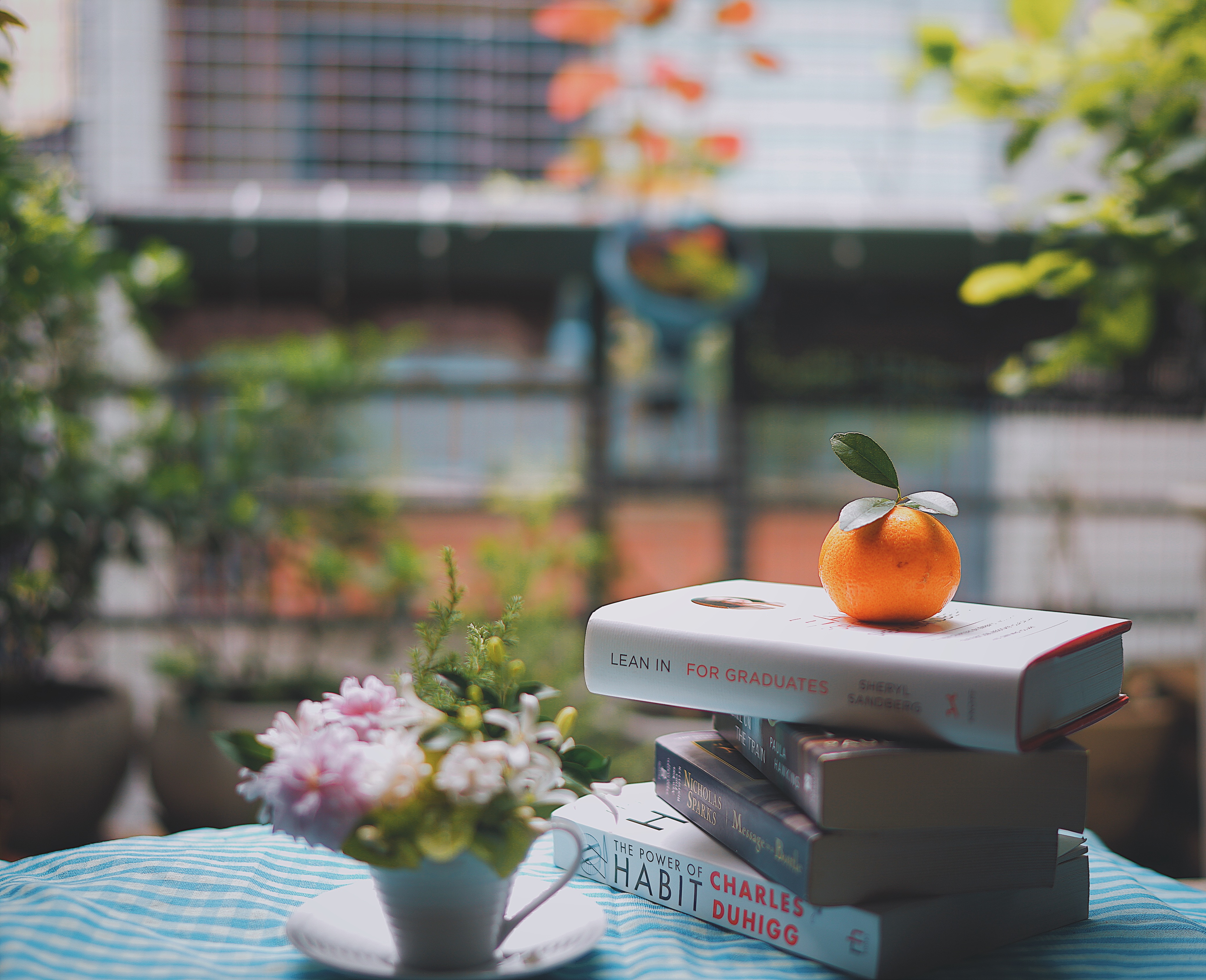 books, reading, mandarin, food, light, light coloured, table, tangerine