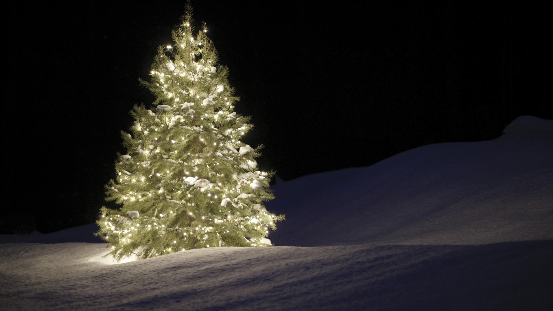 christmas, christmas lights, holiday, christmas tree