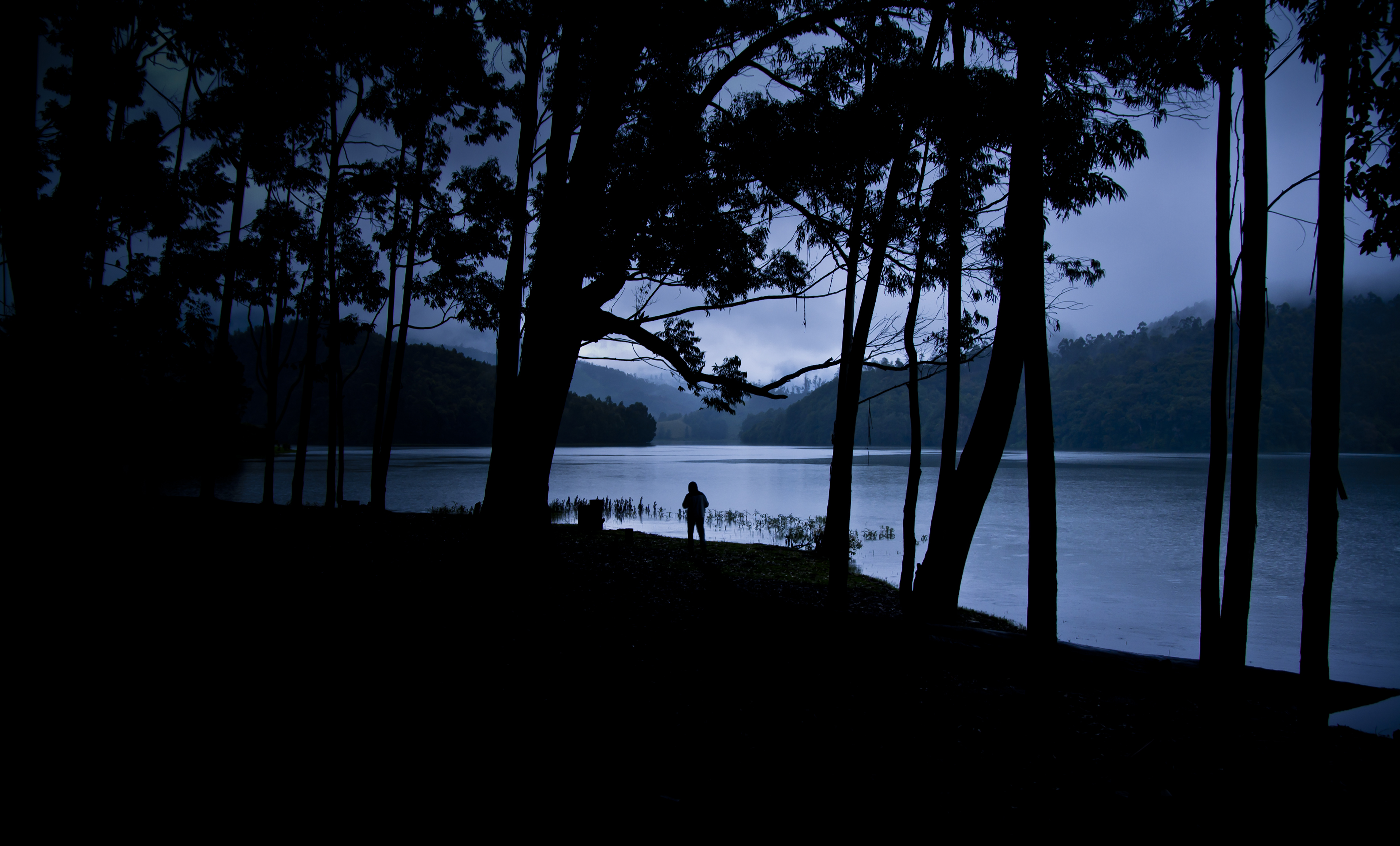 privacy, trees, lake, dark, silhouette, seclusion, human, person, loneliness