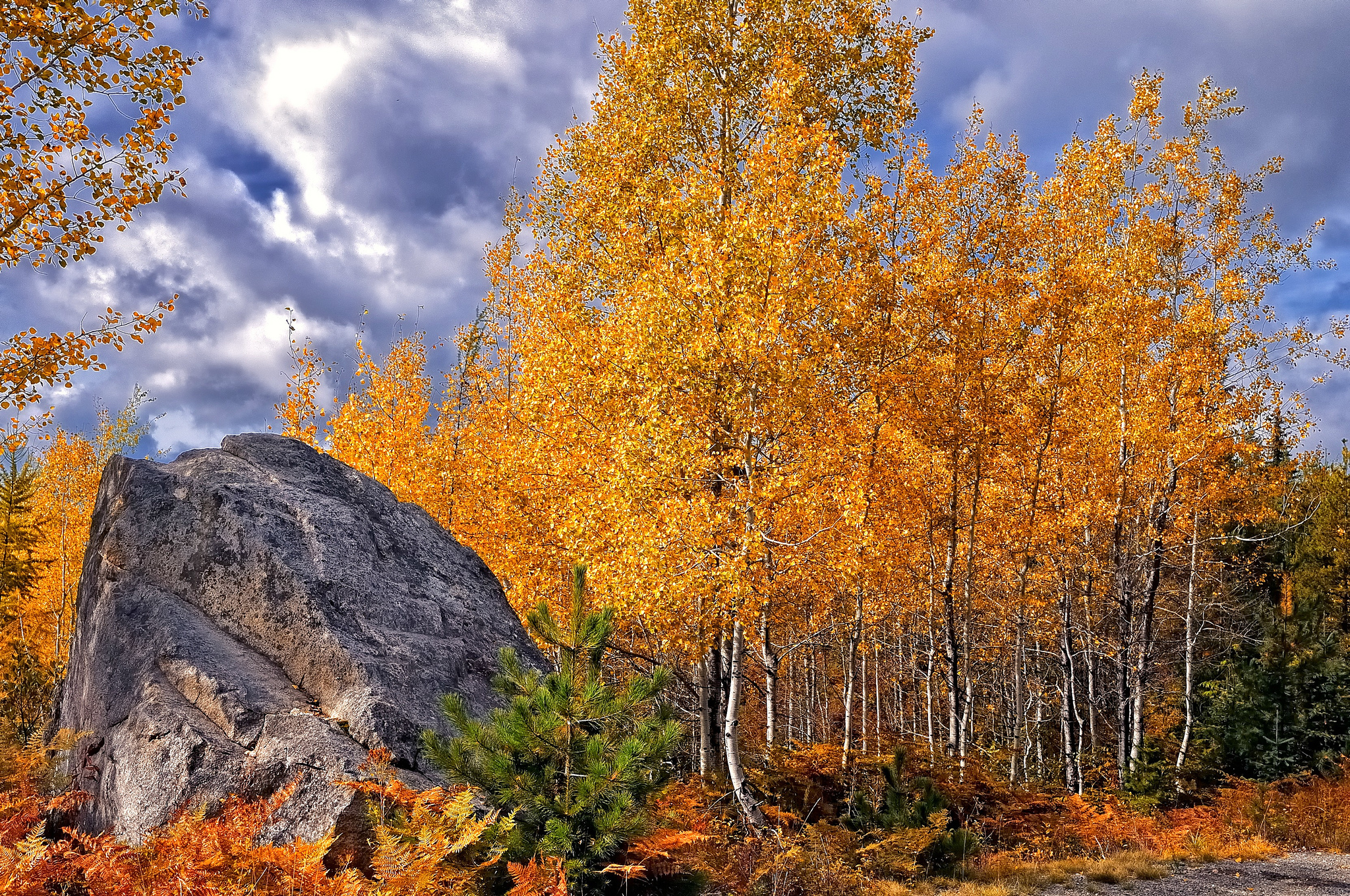 Handy-Wallpaper Herbst, Erde/natur kostenlos herunterladen.