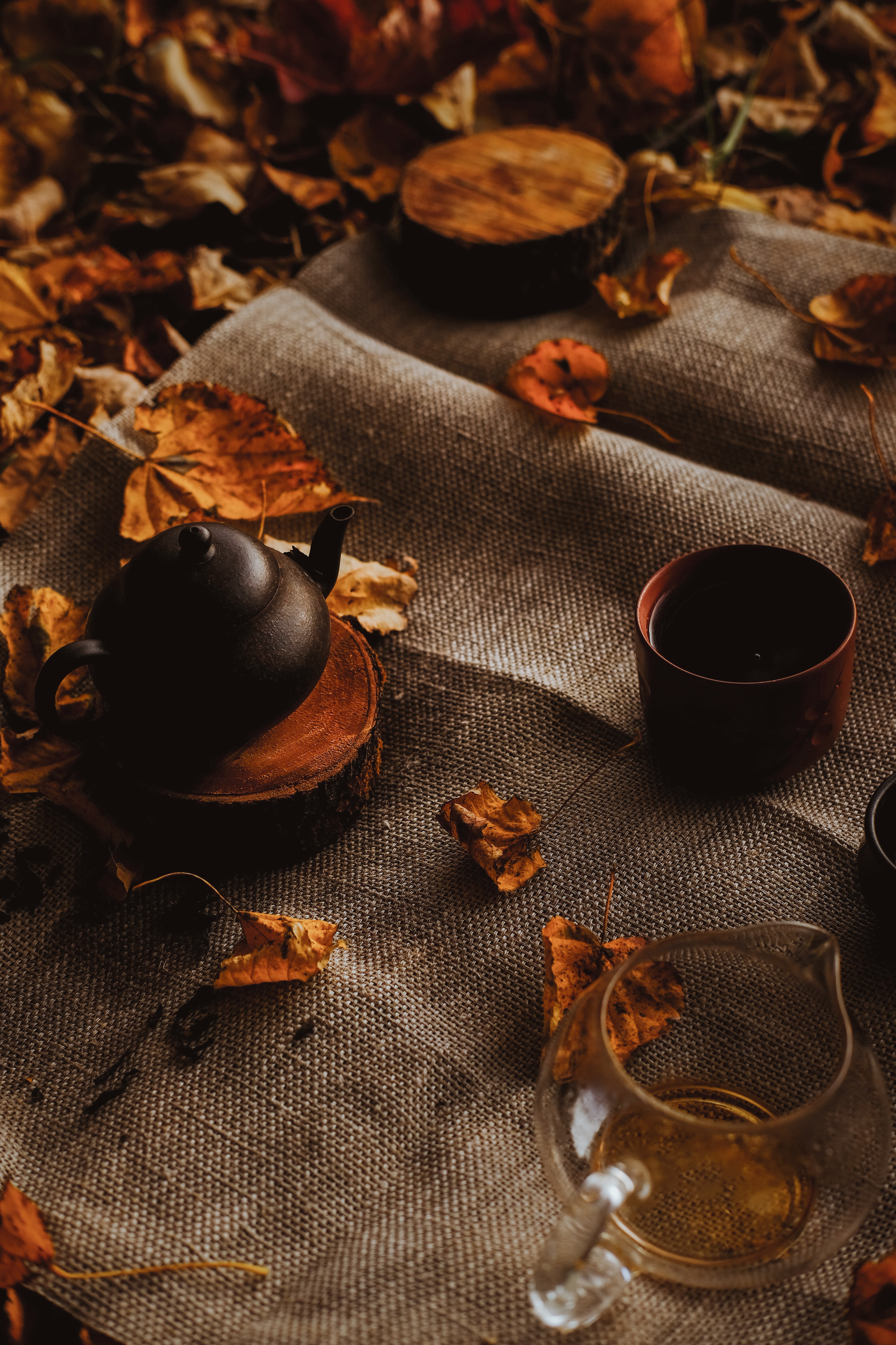 77910 скачать обои чайник, осень, ткань, разное, листья - заставки и картинки бесплатно