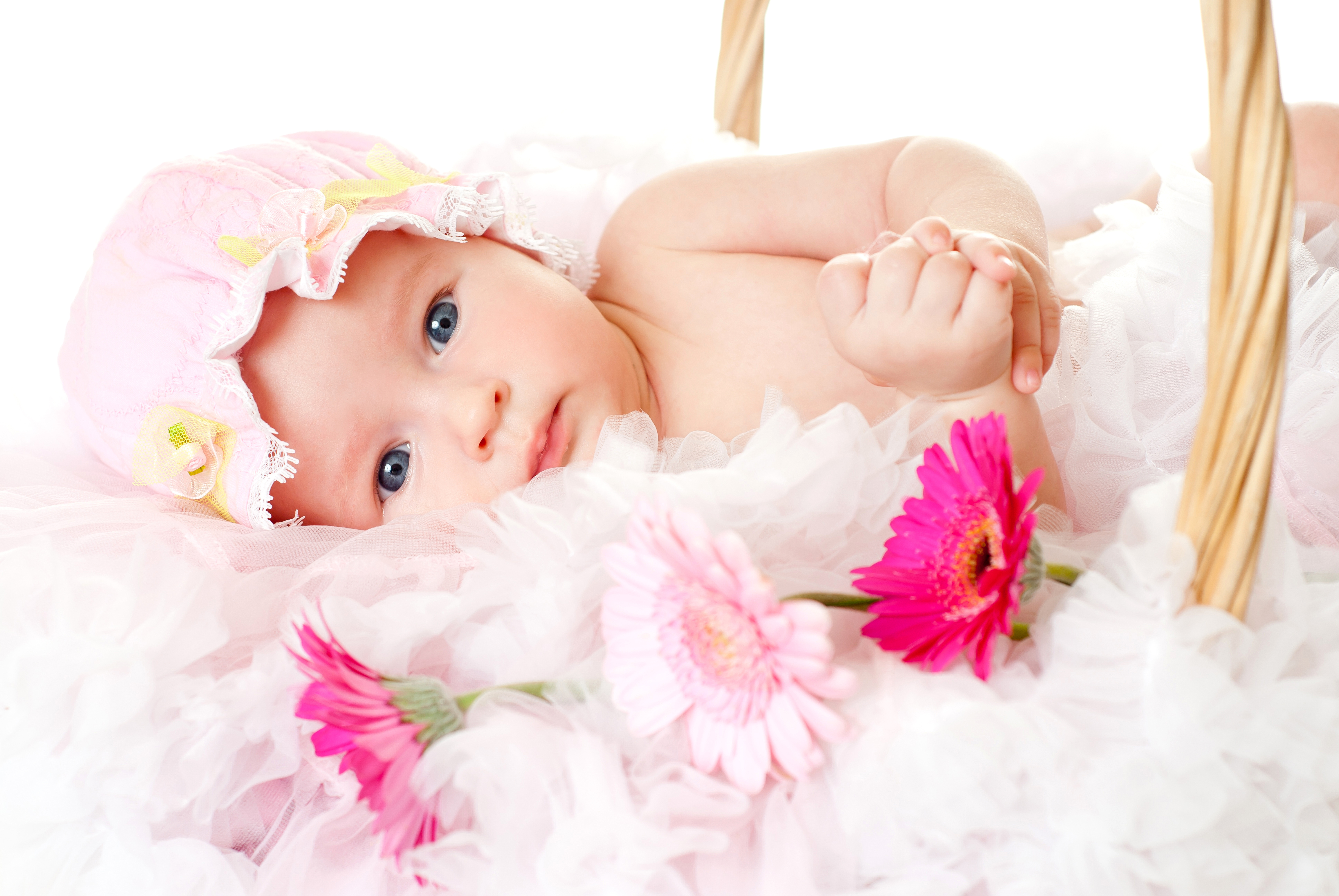 1525023 скачать картинку фотографии, малыш, голубые глаза, милые, розовый цветок - обои и заставки бесплатно