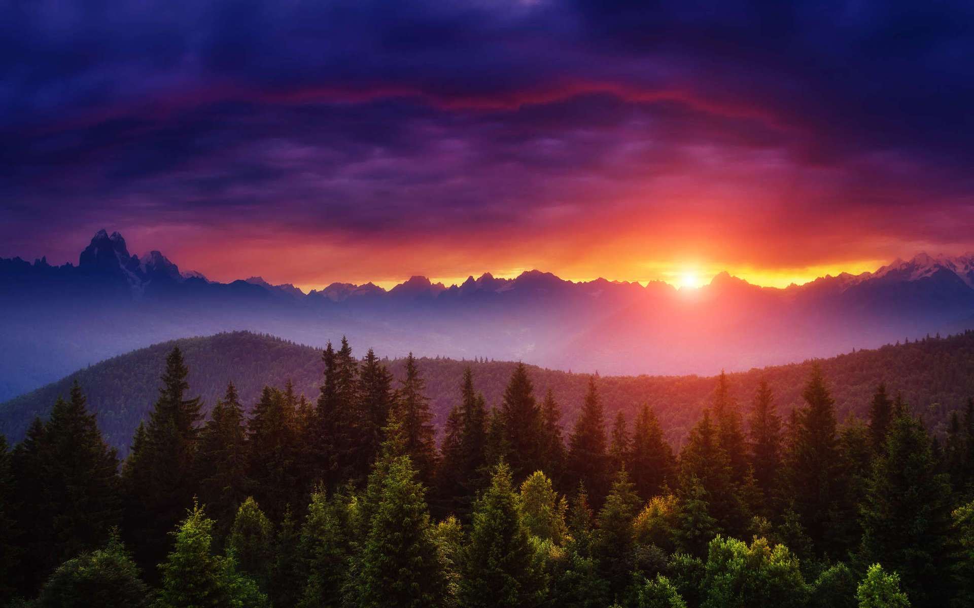 Free download wallpaper Nature, Sunset, Forest, Fog, Earth on your PC desktop