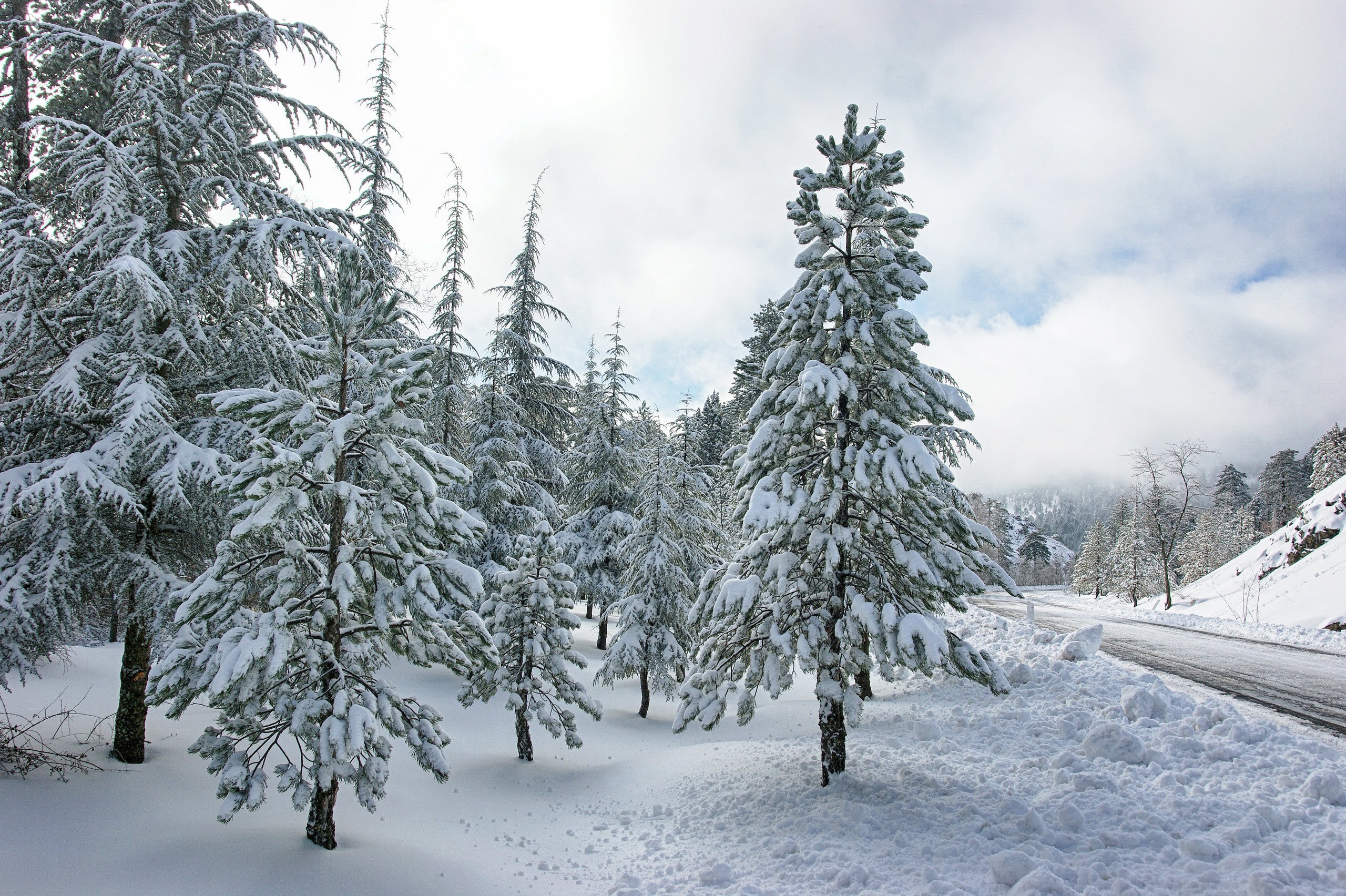 Handy-Wallpaper Winter, Schnee, Straße, Wald, Gebirge, Erde/natur kostenlos herunterladen.