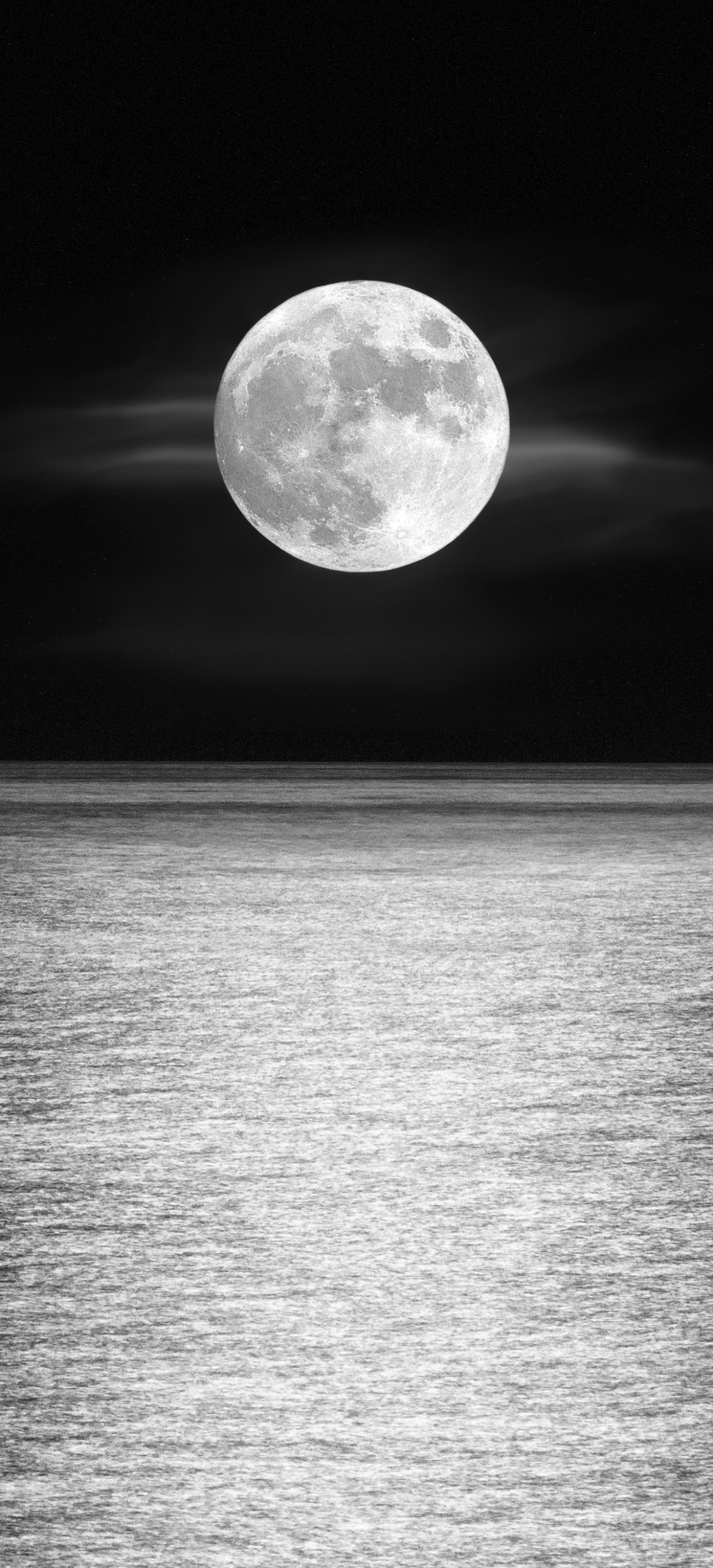 Скачать картинку Луна, Горизонт, Океан, Чёрно Белое, Черно Белый, Земля/природа в телефон бесплатно.