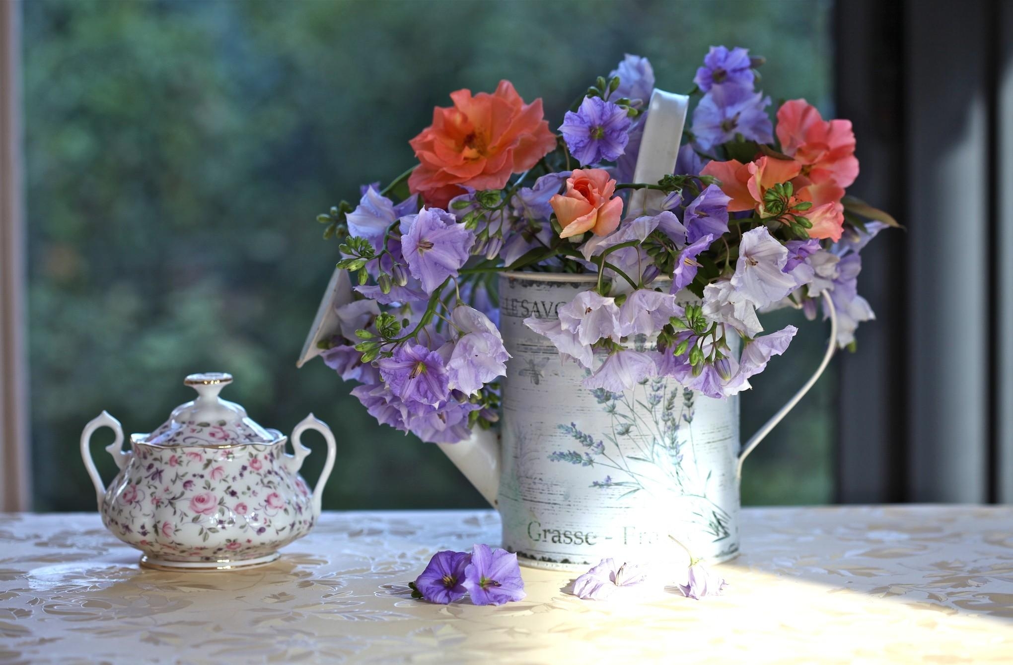 flowers, table, porcelain, watering can