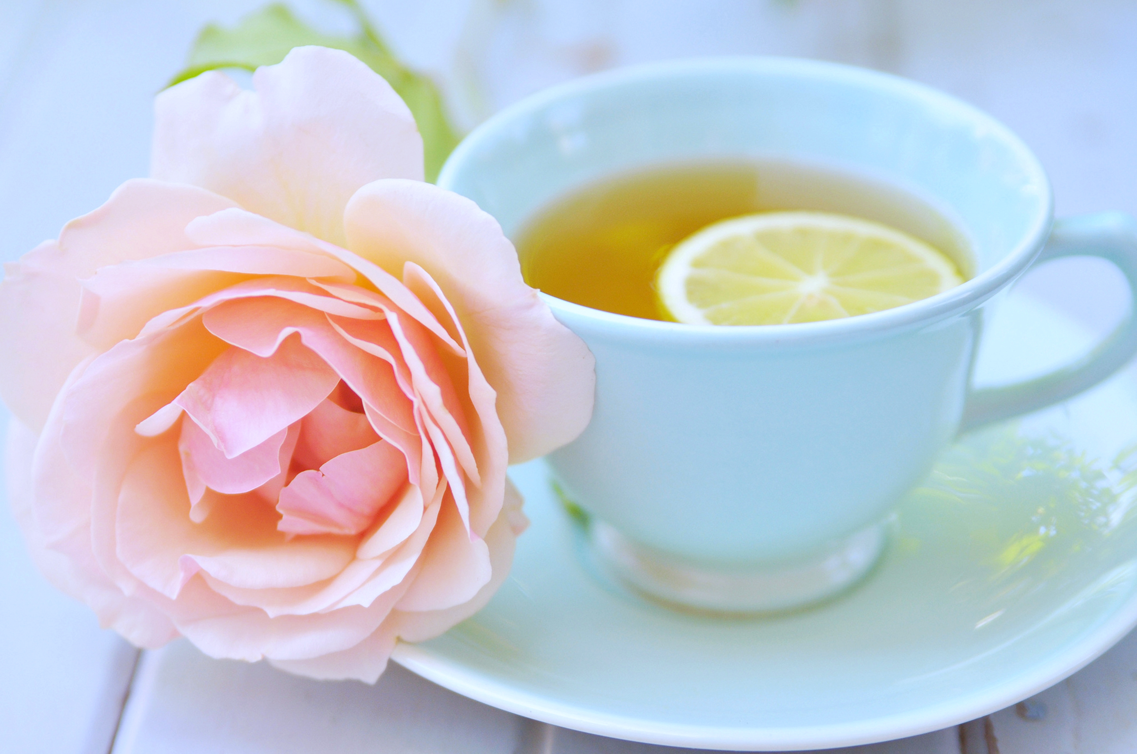 Free download wallpaper Food, Flower, Rose, Cup, Drink, Tea on your PC desktop