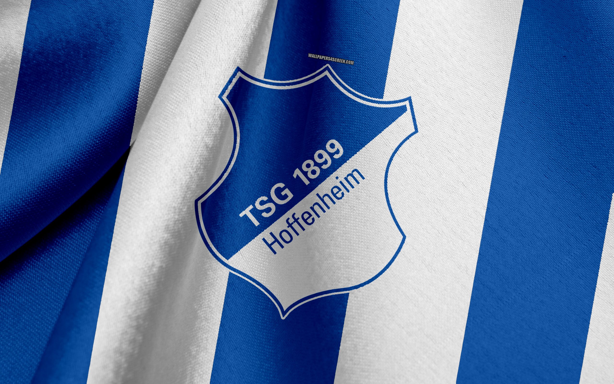Handy-Wallpaper Sport, Fußball, Logo, Emblem, Tsg 1899 Hoffenheim kostenlos herunterladen.