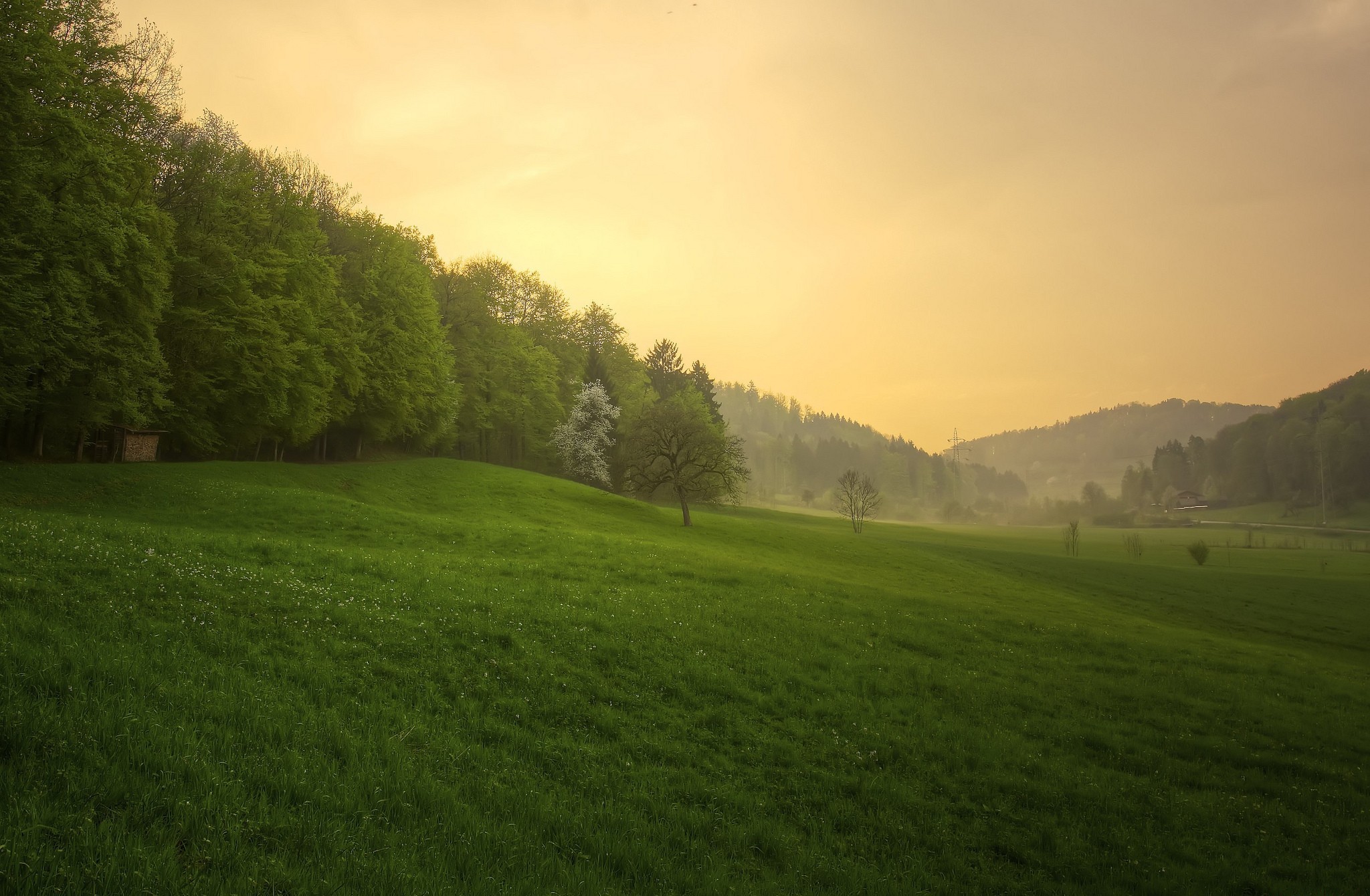 Download mobile wallpaper Landscape, Wood, Earth, Meadow for free.