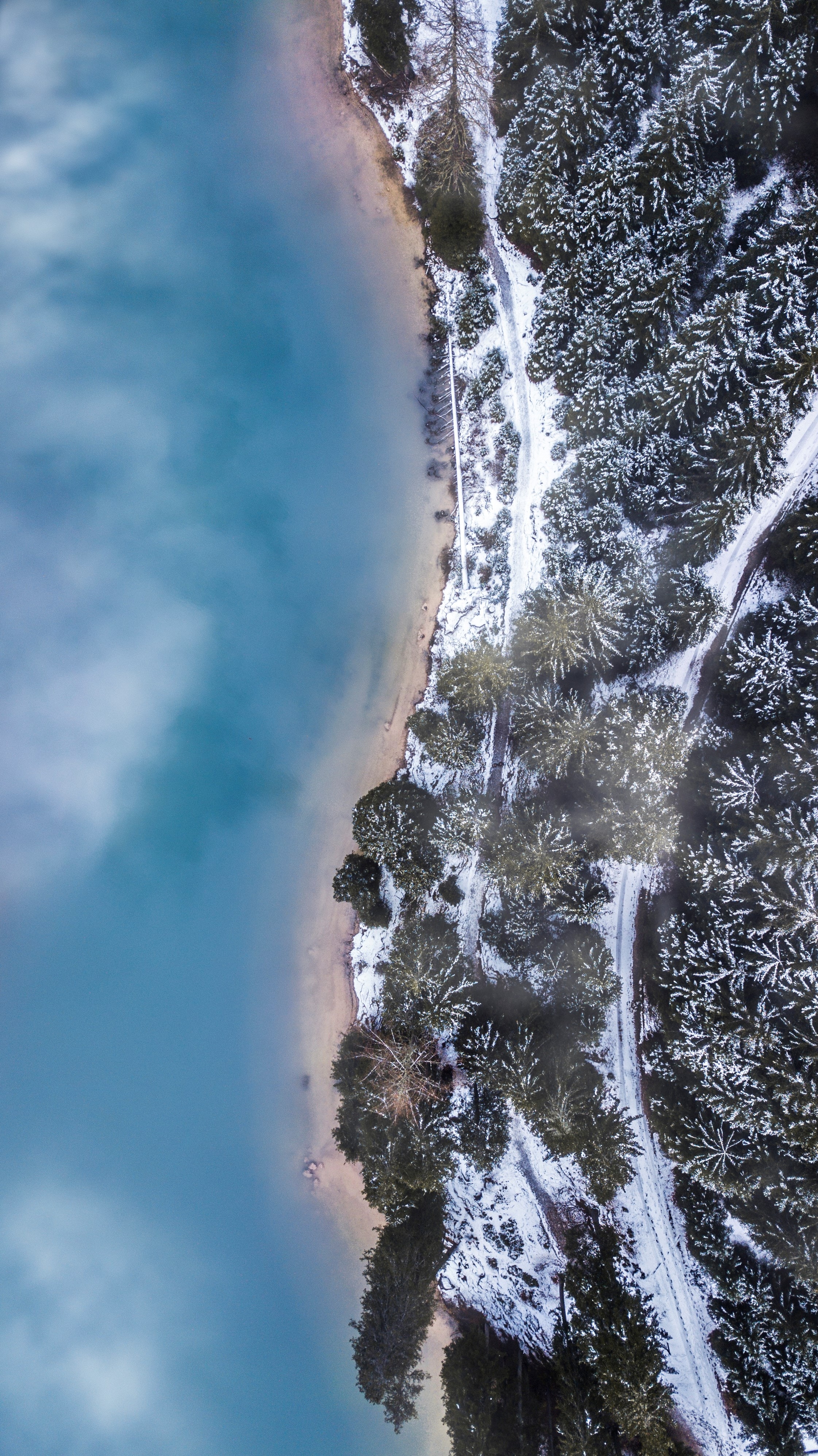 Download mobile wallpaper Fog, Snow, Trees, View From Above, Winter, Forest, Ice, Nature for free.
