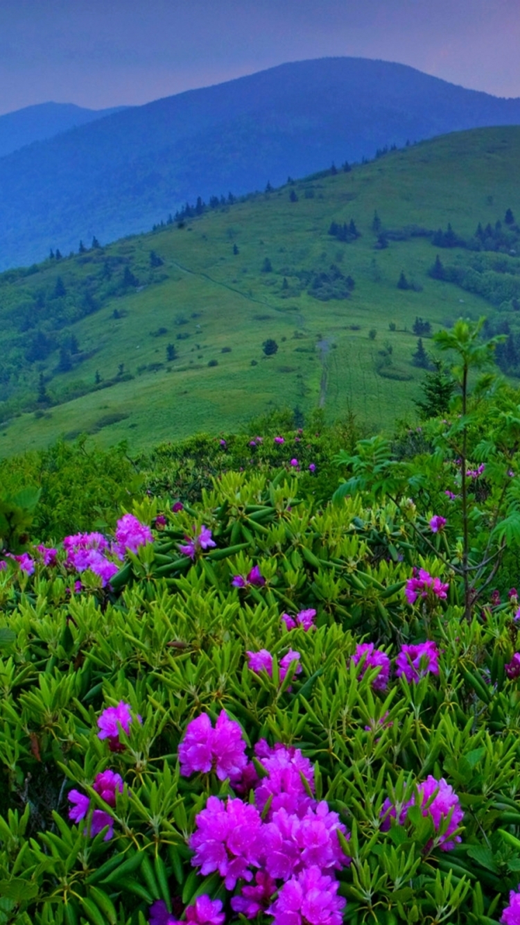 Скачати мобільні шпалери Hdr, Фотографія безкоштовно.