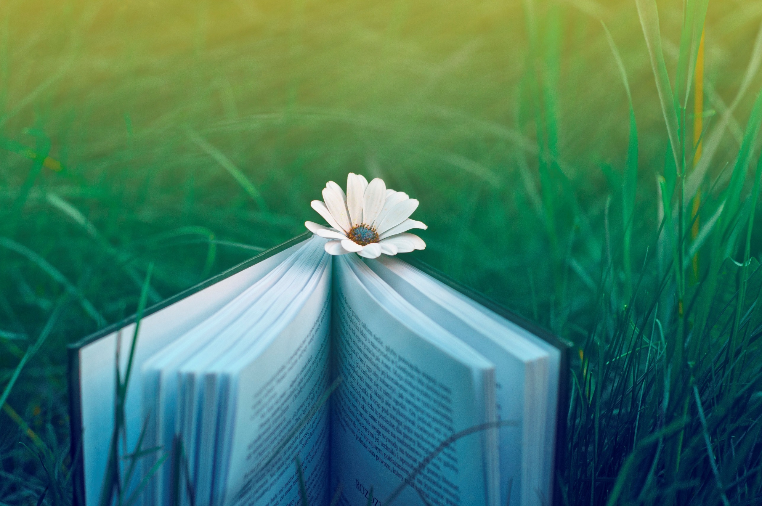 Download mobile wallpaper Miscellaneous, Grass, Miscellanea, Nature, Flower, Book, Mood for free.