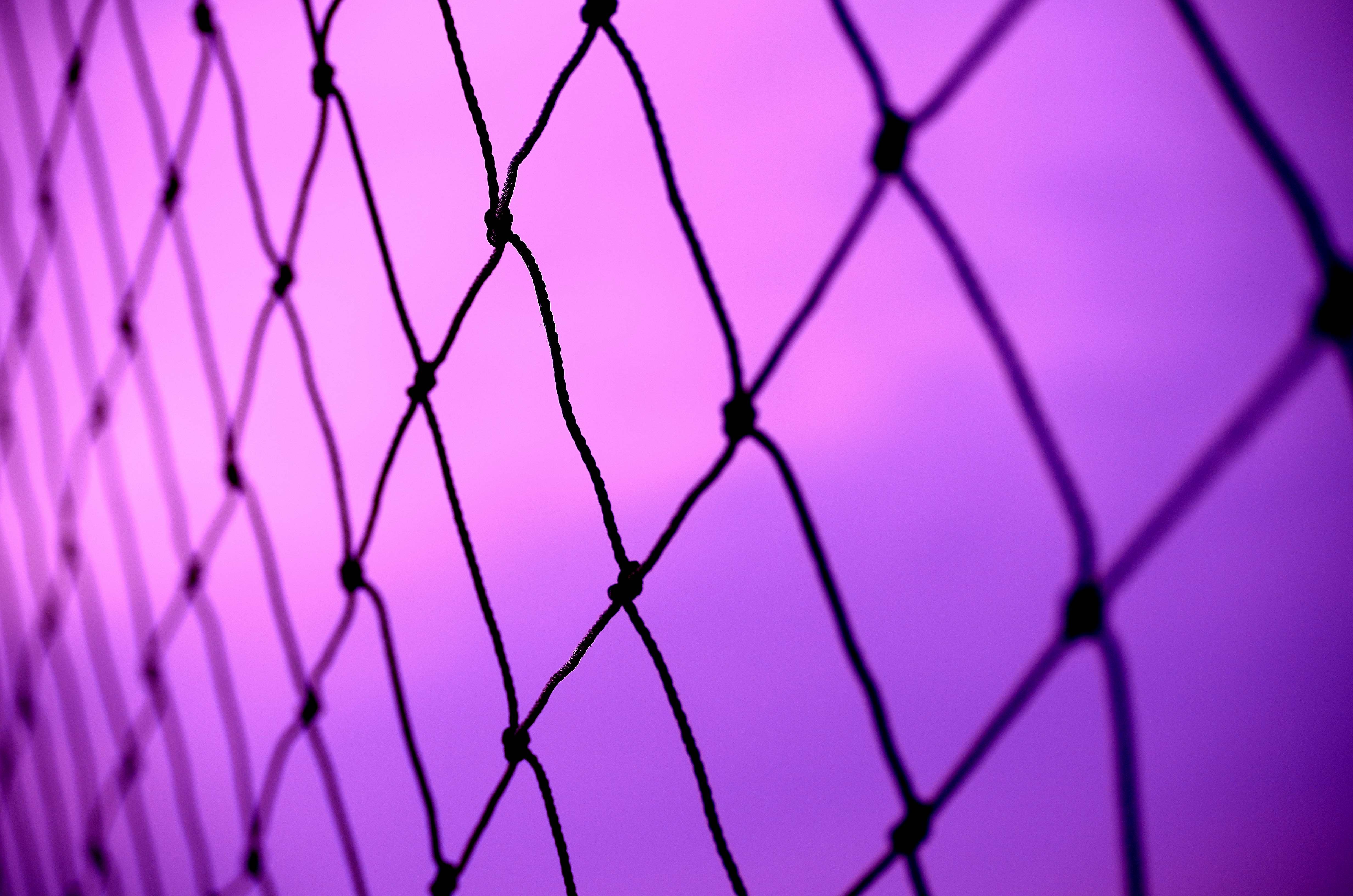 background, sky, macro, grid, purple, wicker, braided