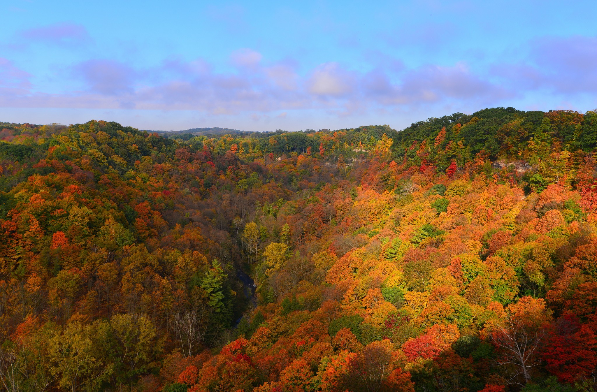 PCデスクトップに秋, 森, 地球画像を無料でダウンロード
