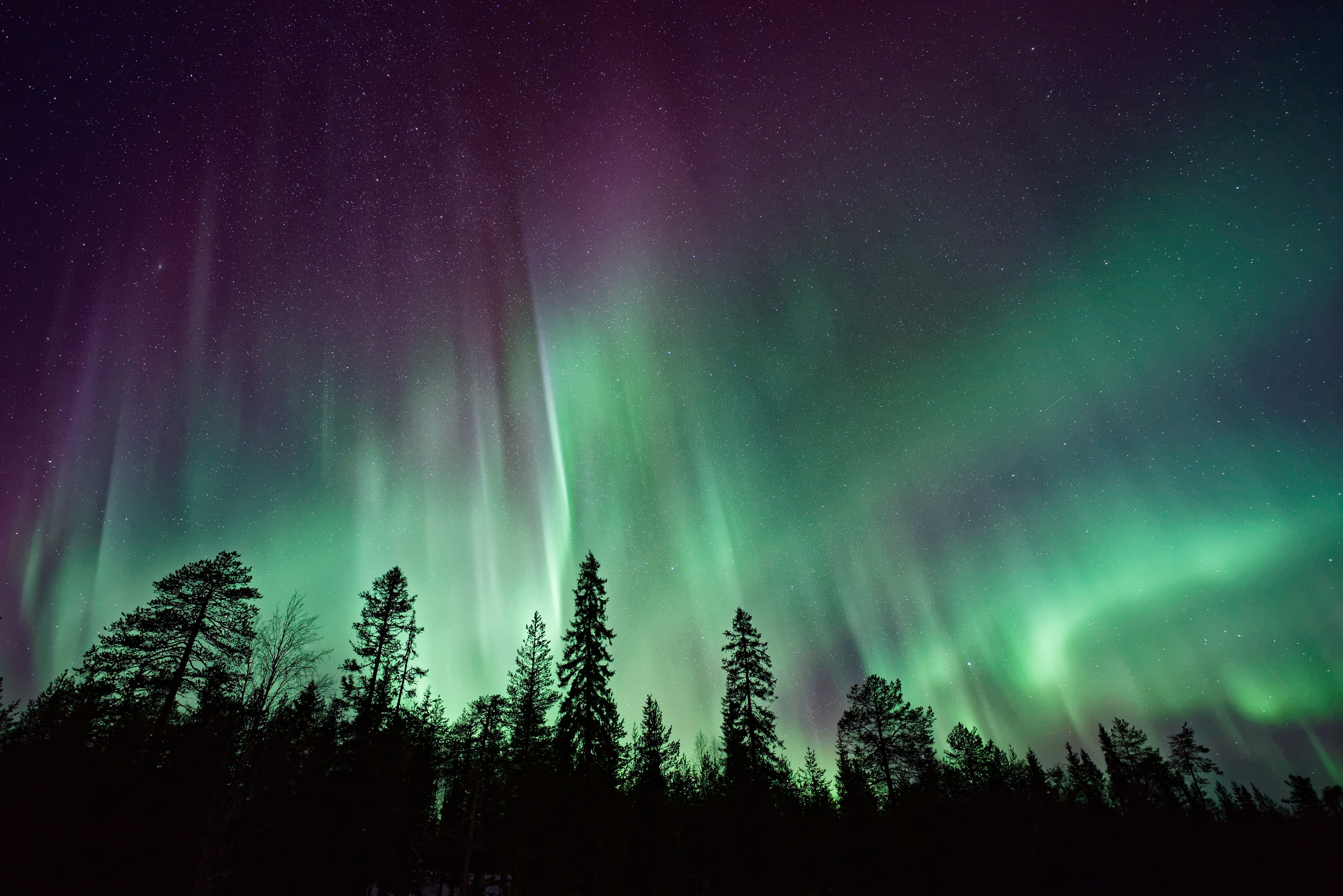 102686 Hintergrundbild herunterladen aurora borealis, nordlichter, natur, bäume, sky, sterne, übernachtung - Bildschirmschoner und Bilder kostenlos