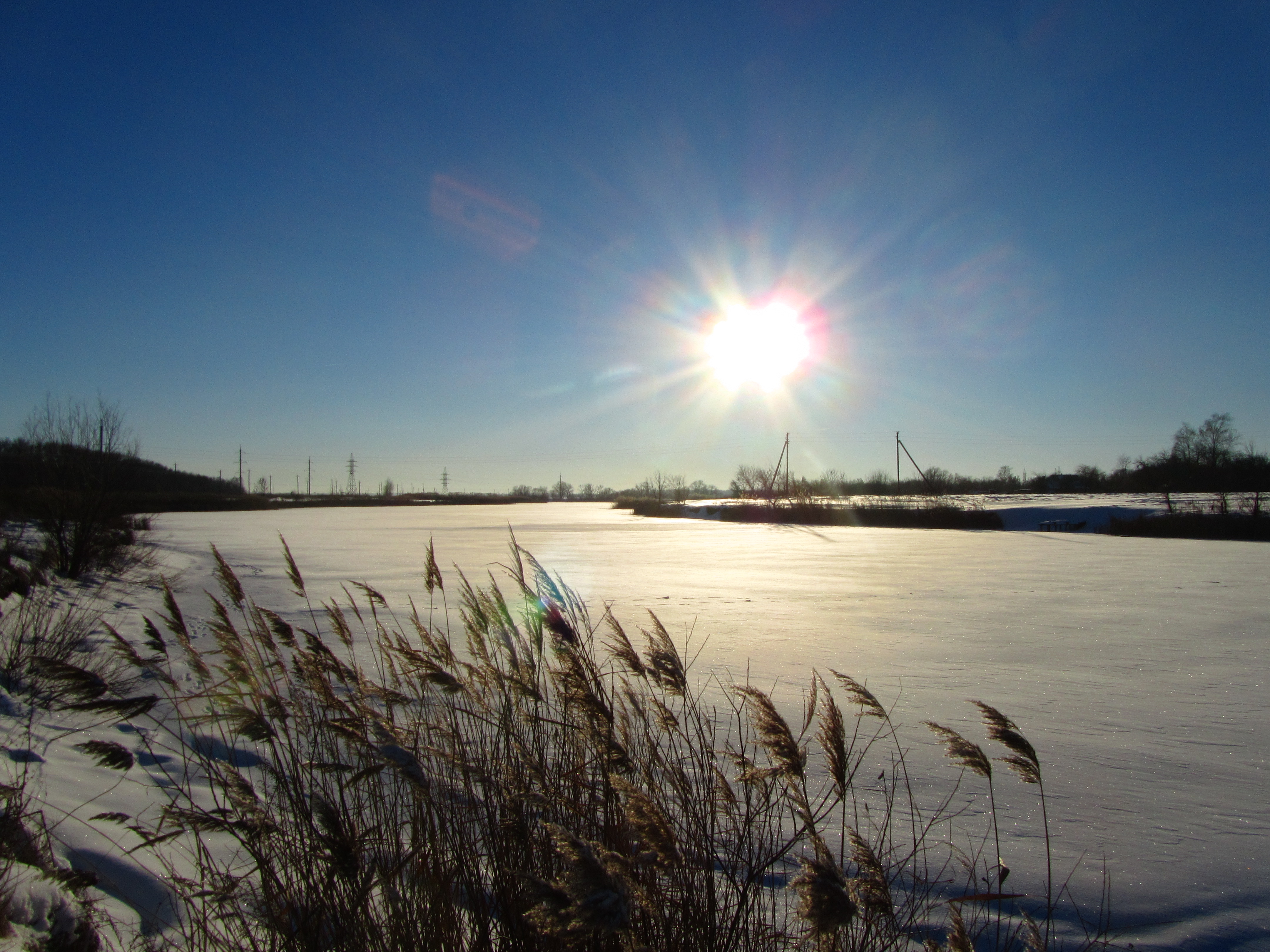 Descarga gratis la imagen Invierno, Tierra/naturaleza en el escritorio de tu PC