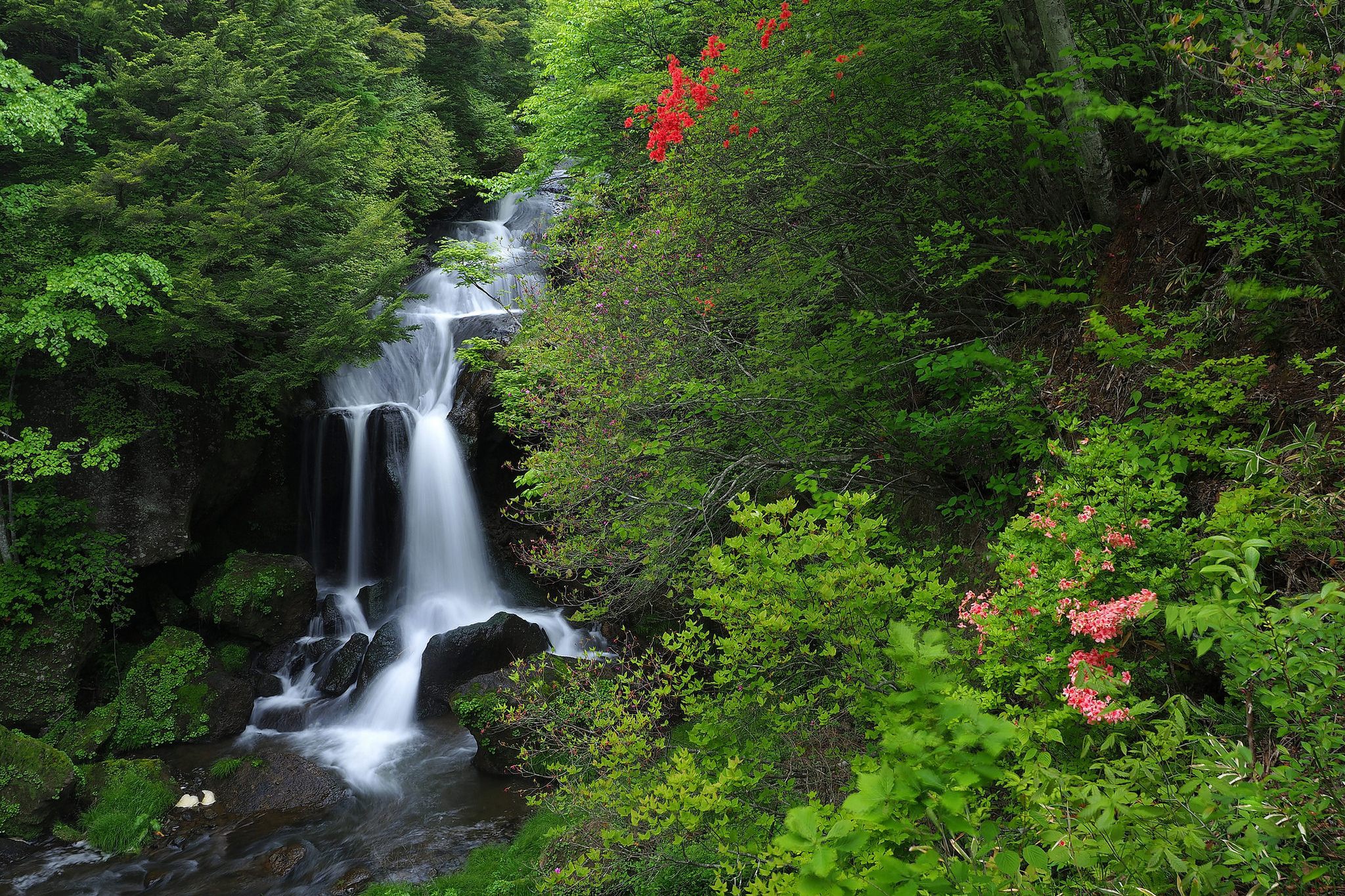 Handy-Wallpaper Natur, Wasserfälle, Wasserfall, Strom, Erde/natur kostenlos herunterladen.