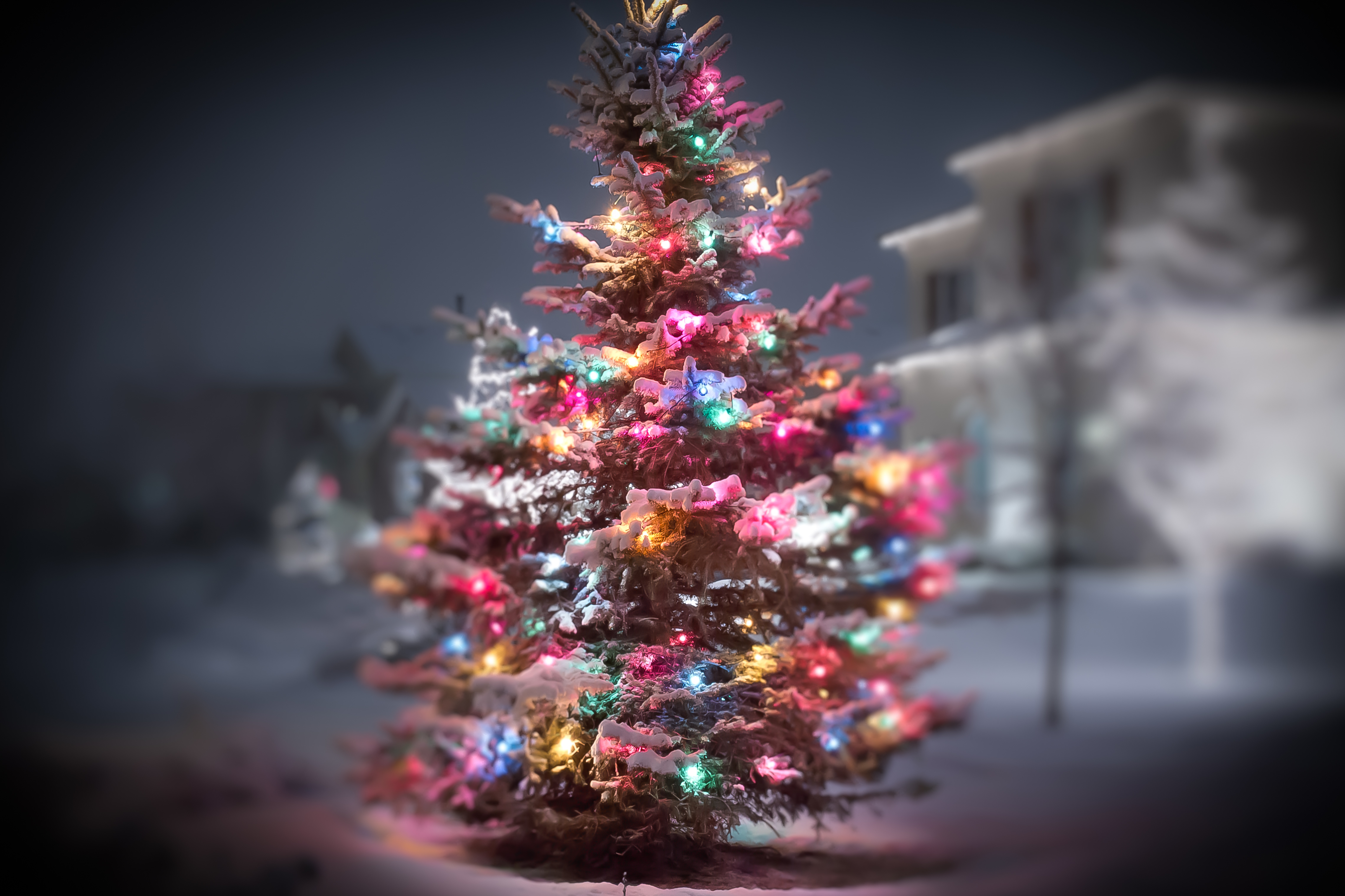 Laden Sie das Feiertage, Weihnachten, Weihnachtsbaum, Verwischen, Weihnachtsbeleuchtung-Bild kostenlos auf Ihren PC-Desktop herunter