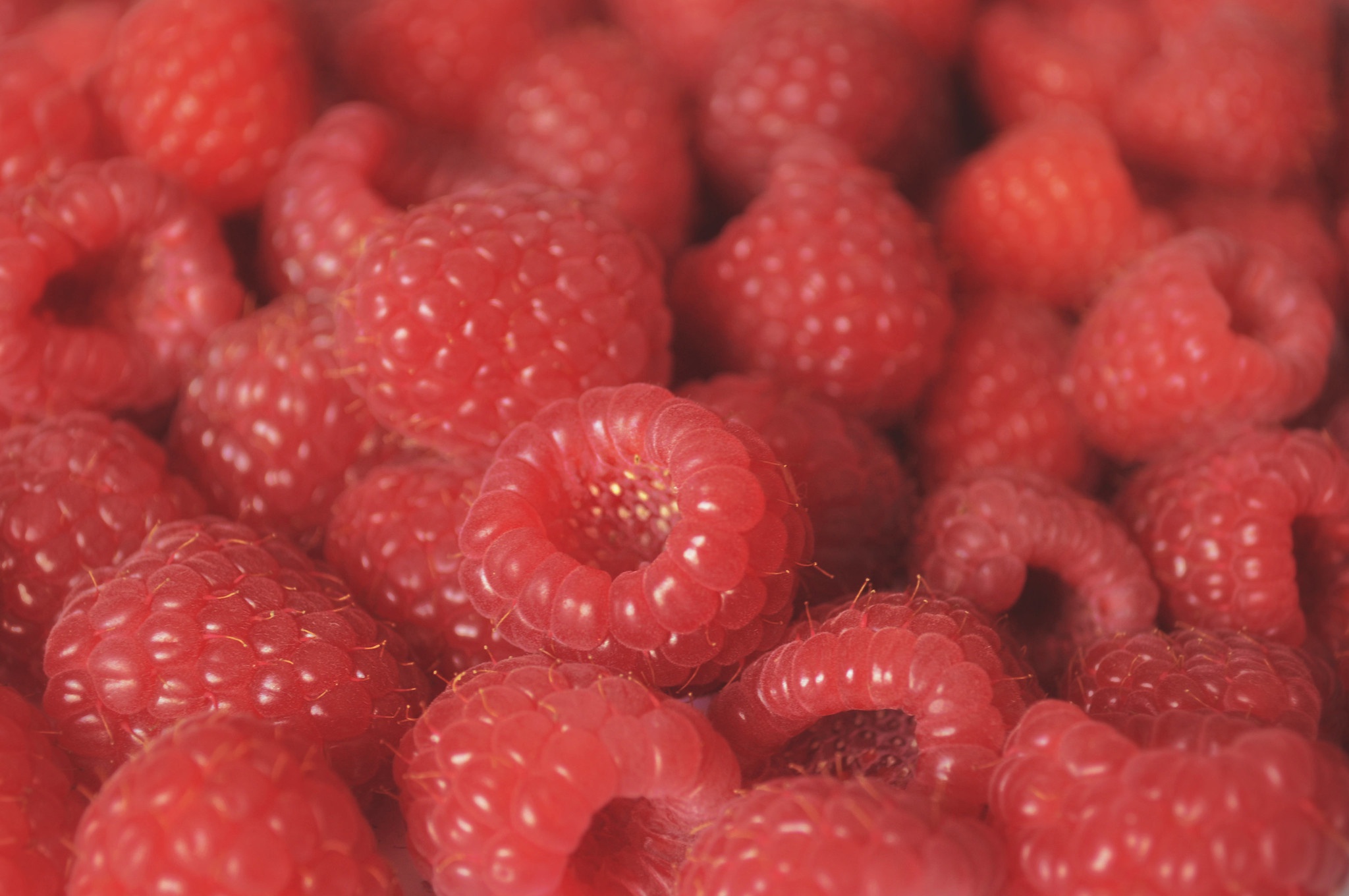 Download mobile wallpaper Fruits, Food, Raspberry, Close Up, Berry, Fruit for free.