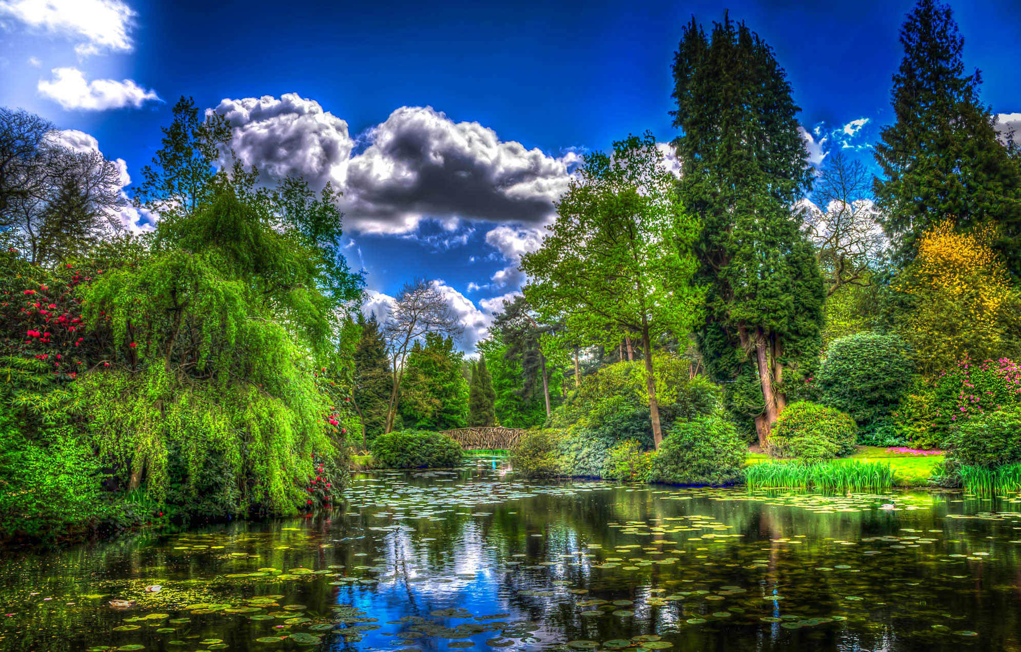 Laden Sie das Park, Baum, Hdr, Teich, Fotografie, England, Seerosenblatt-Bild kostenlos auf Ihren PC-Desktop herunter