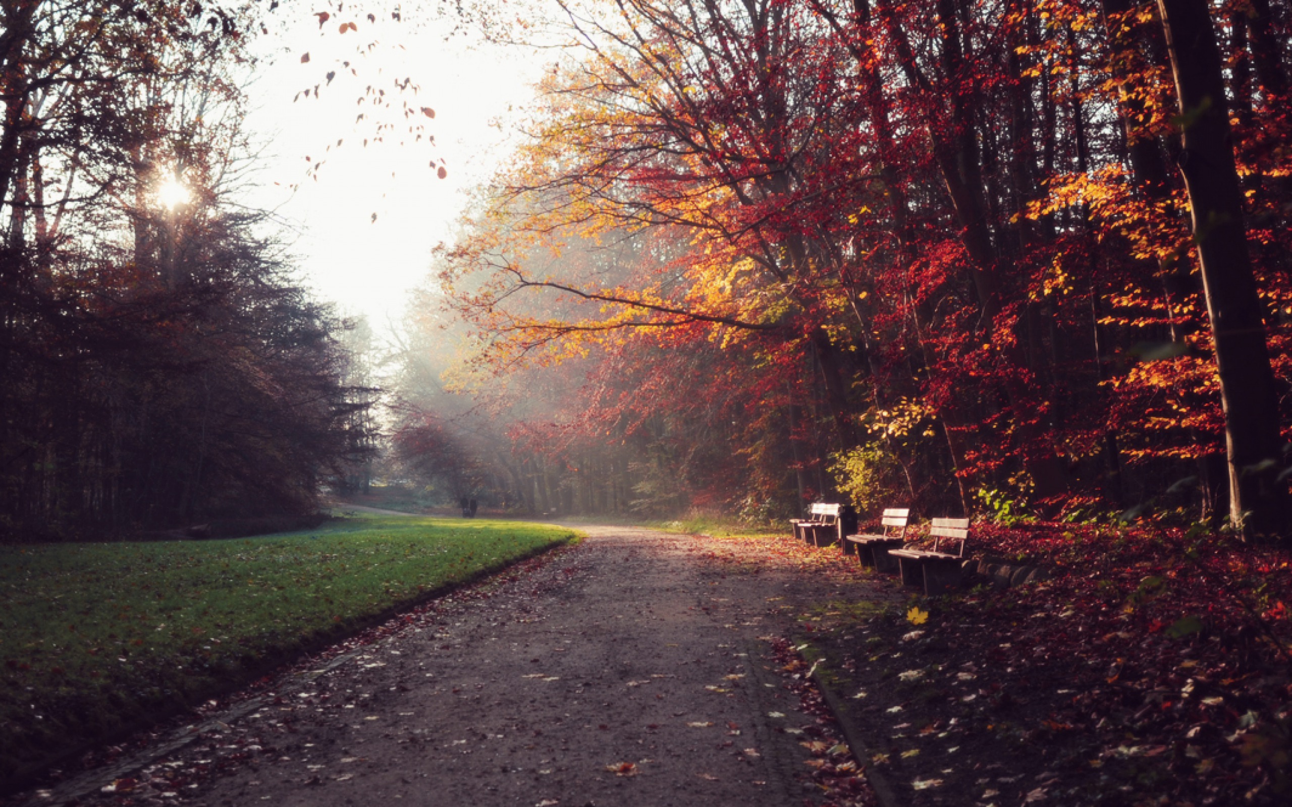 Download mobile wallpaper Fall, Bench, Photography for free.