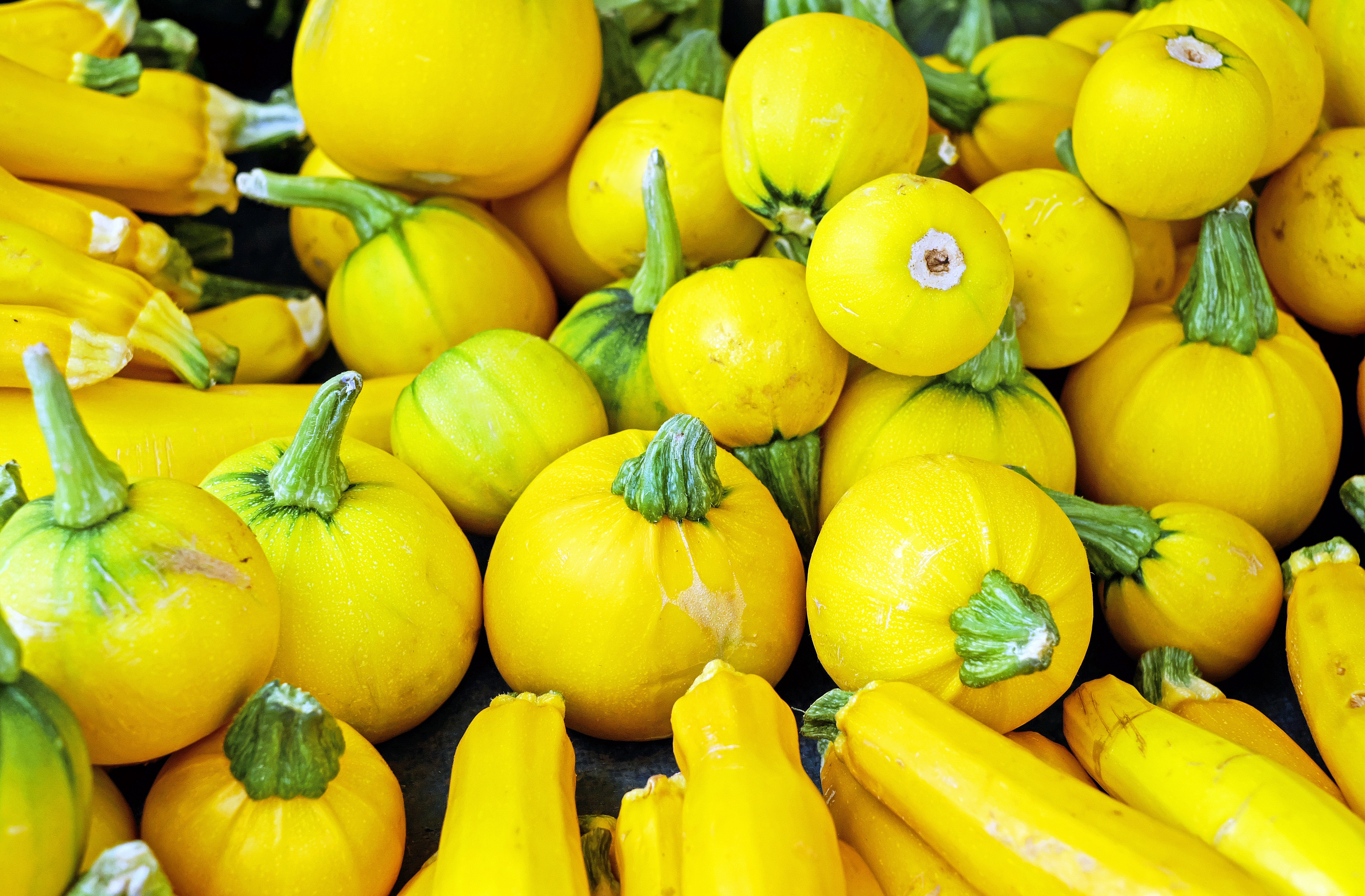 Laden Sie das Lebensmittel, Gemüse, Viel, Zucchini-Bild kostenlos auf Ihren PC-Desktop herunter