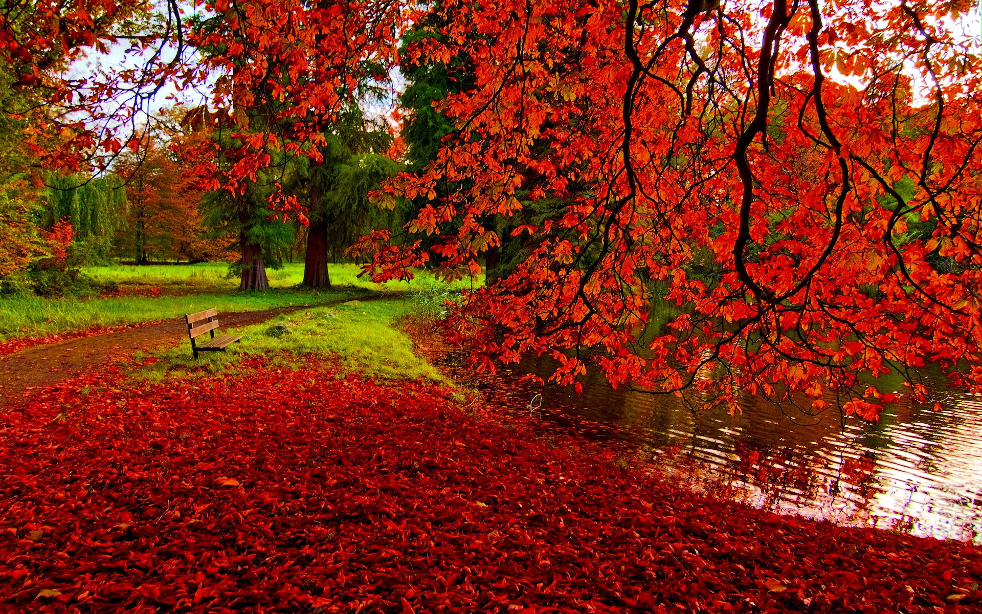Скачать обои бесплатно Осень, Красный, Парк, Дерево, Скамейка, Пруд, Фотографии картинка на рабочий стол ПК