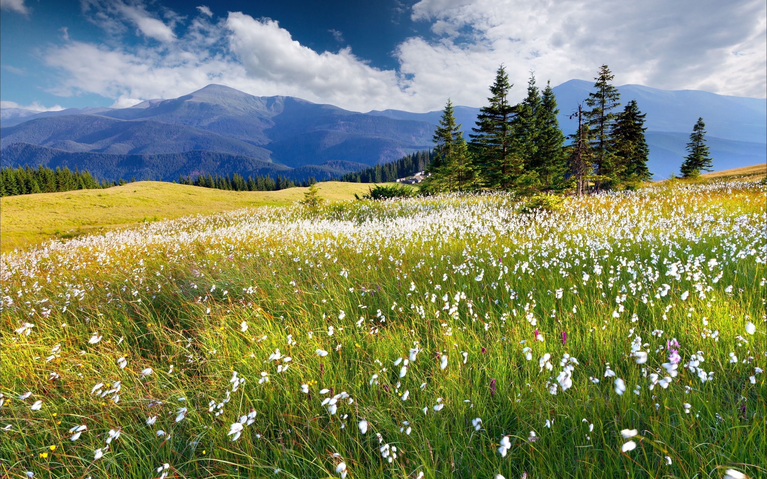 Handy-Wallpaper Landschaft, Erde/natur kostenlos herunterladen.