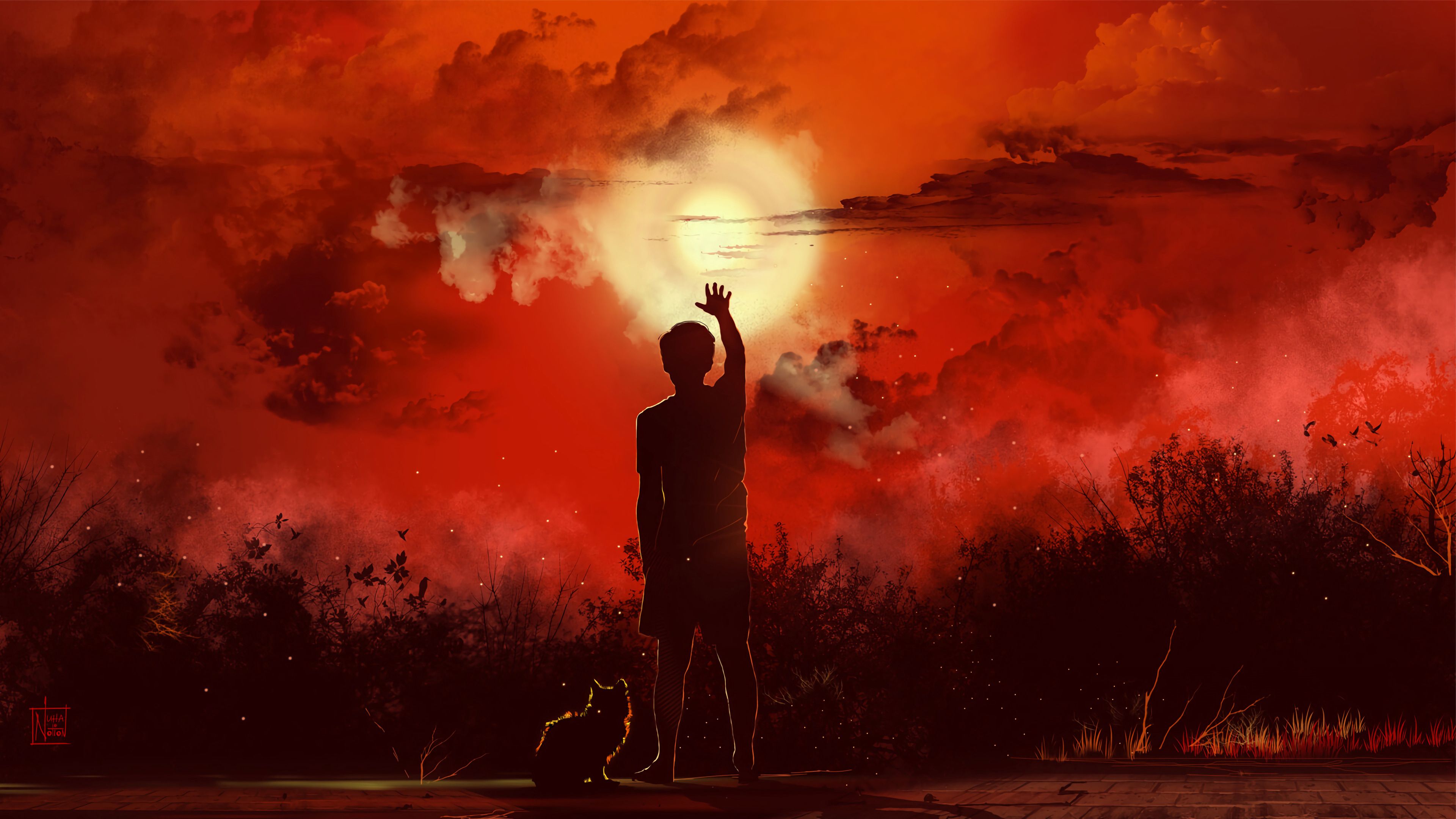 Free download wallpaper Person, Sunset, Art, Cat, Human, Silhouettes on your PC desktop