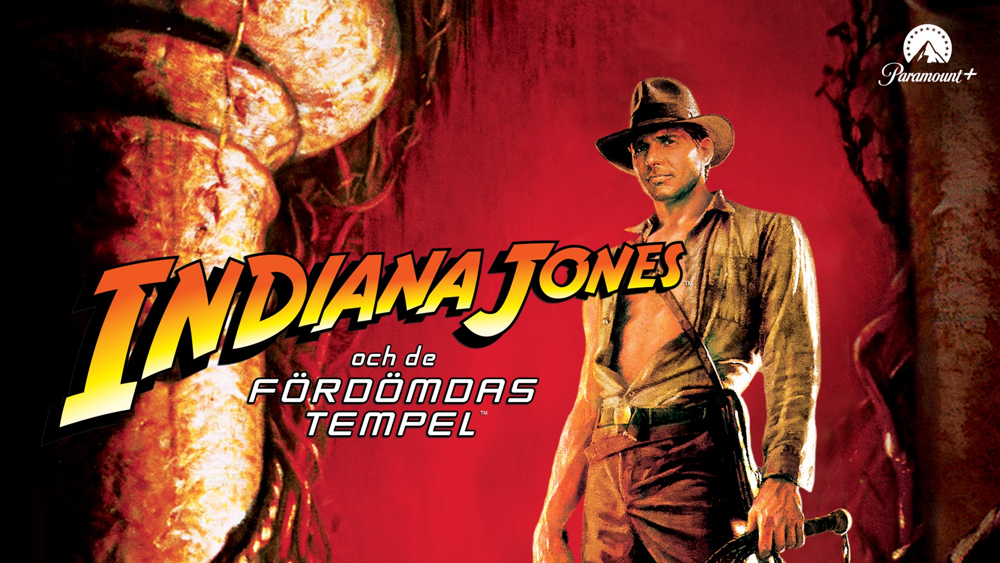 Descarga gratuita de fondo de pantalla para móvil de Indiana Jones, Películas, Indiana Jones Y El Templo Maldito.