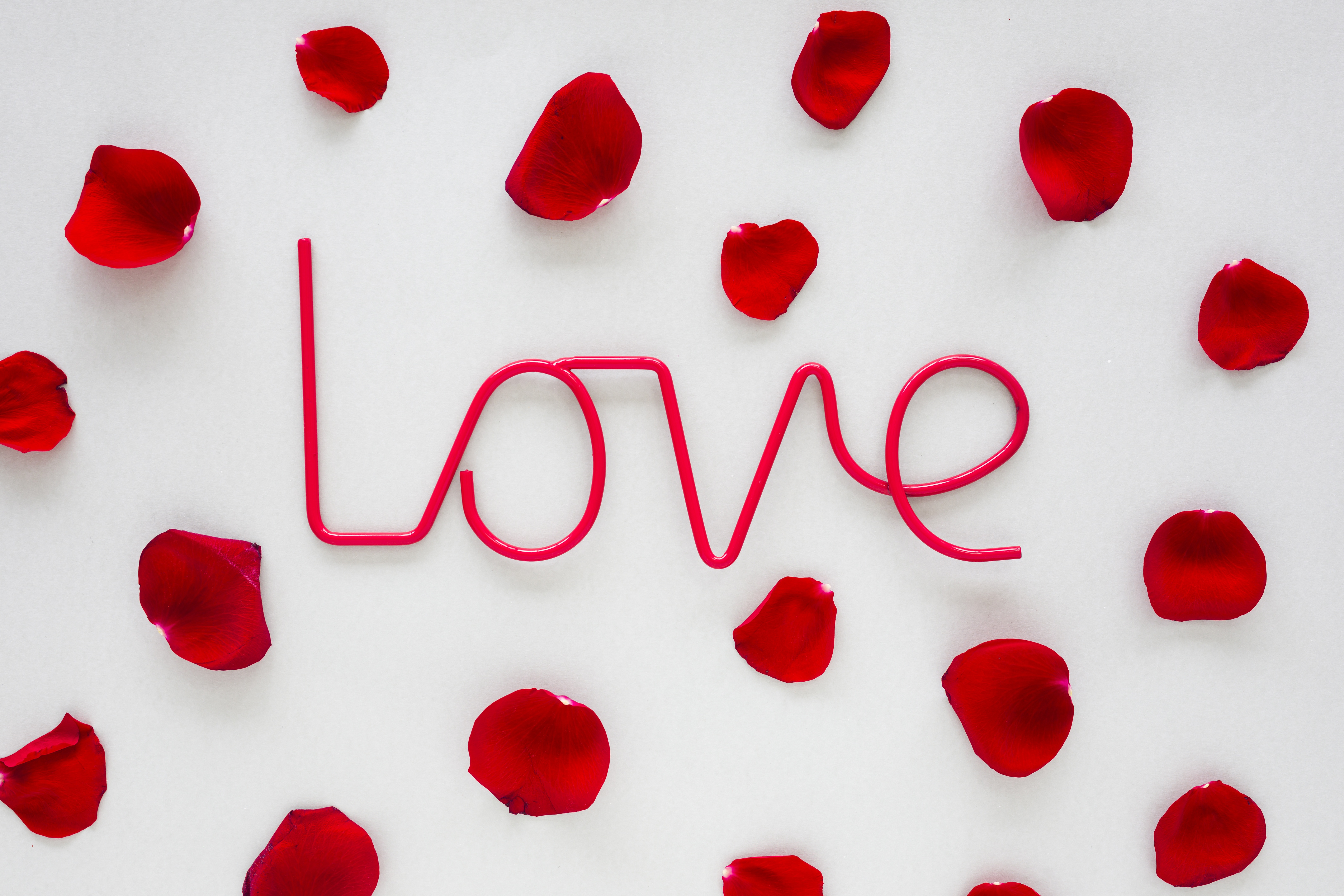 Laden Sie das Liebe, Blütenblatt, Romantisch, Künstlerisch-Bild kostenlos auf Ihren PC-Desktop herunter