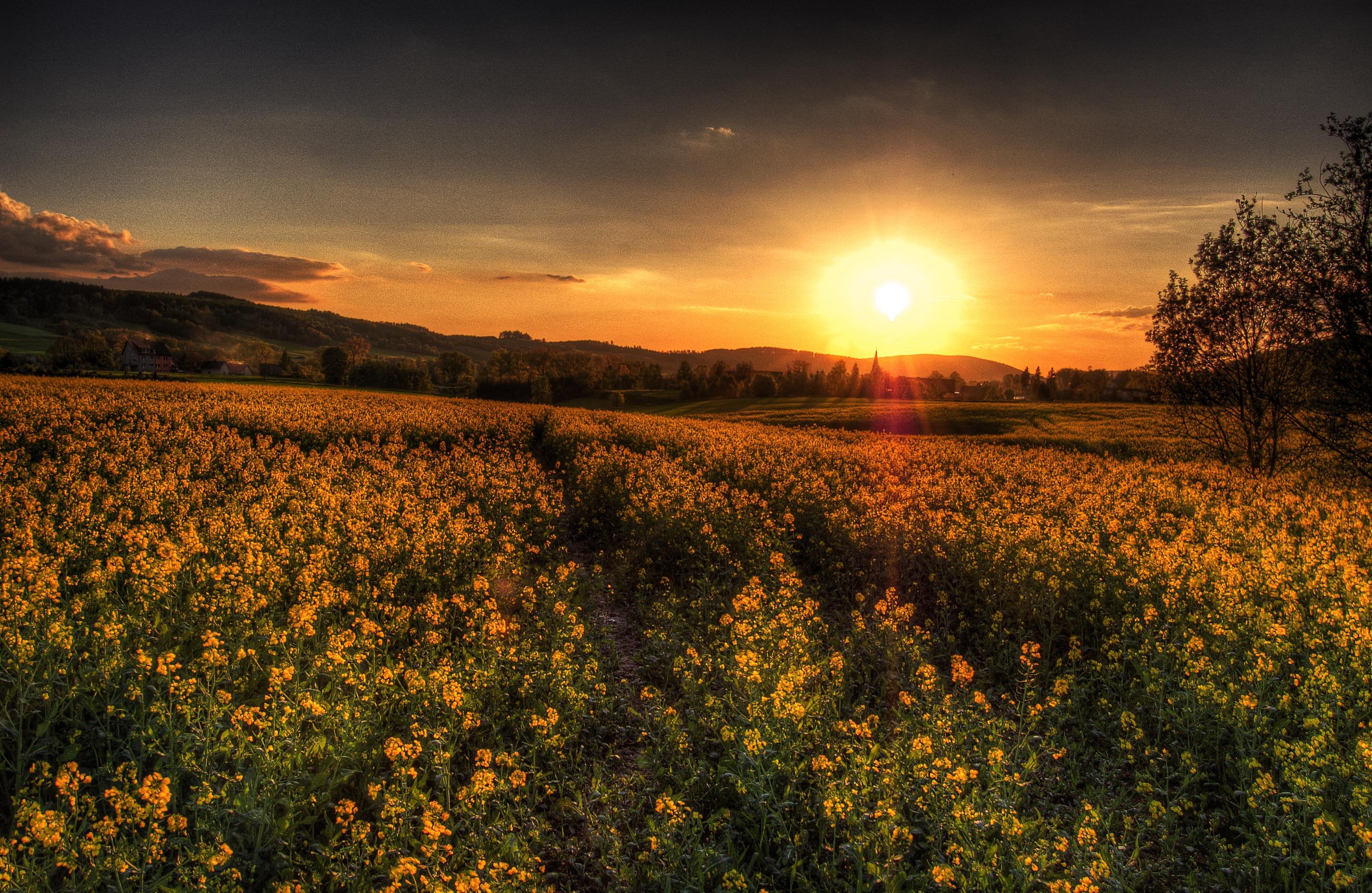 Free download wallpaper Nature, Sunset, Field, Landscape on your PC desktop