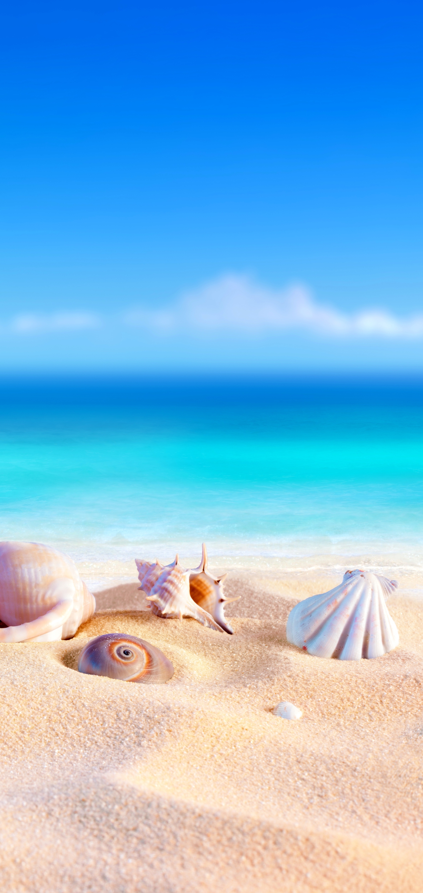 Download mobile wallpaper Beach, Sand, Summer, Artistic, Shell for free.