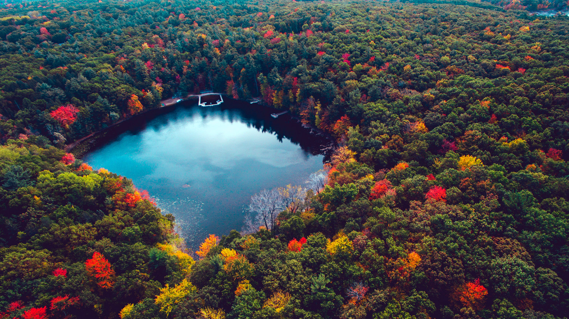 Download mobile wallpaper Lakes, Lake, Forest, Tree, Fall, Earth, Aerial for free.