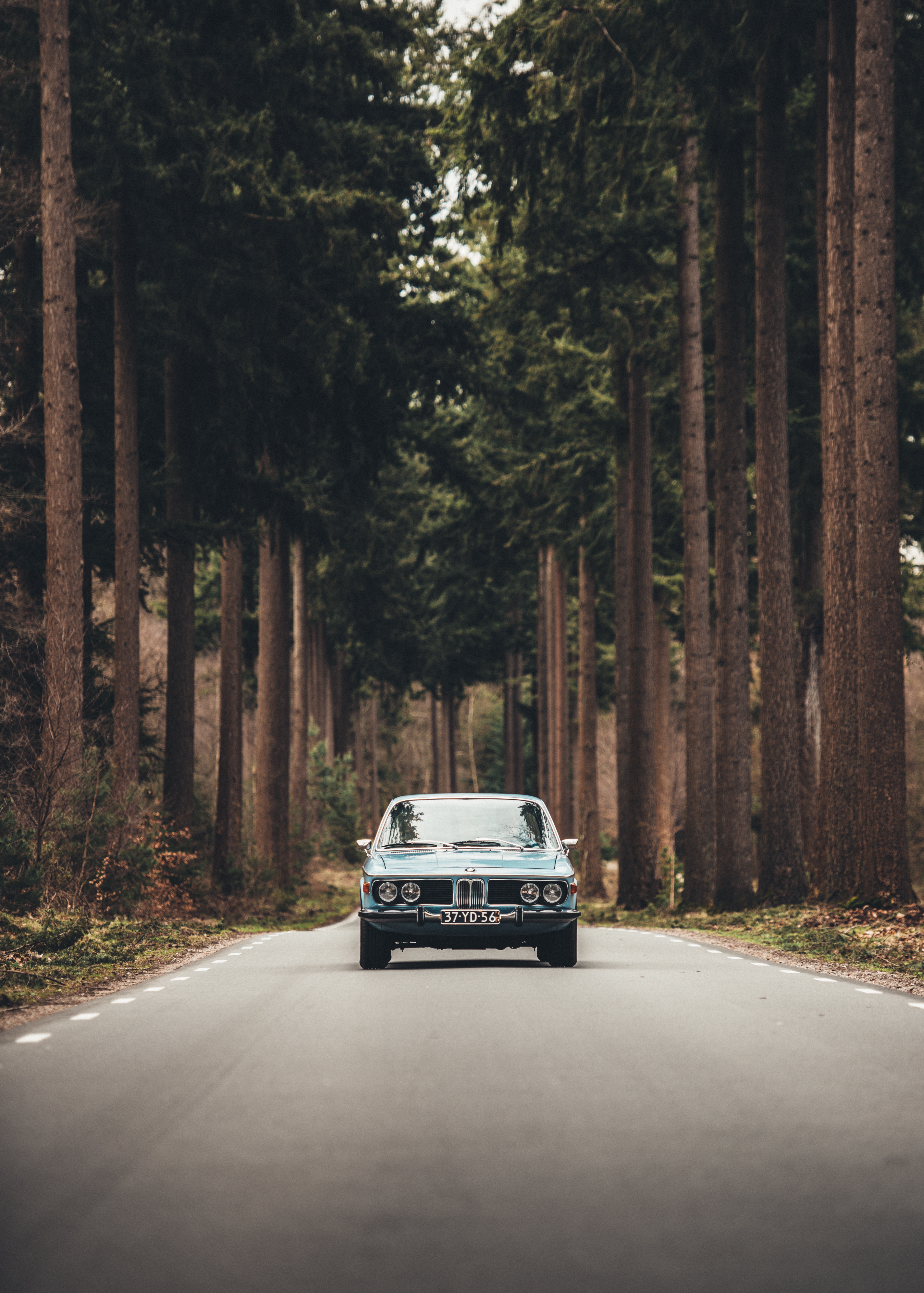Free download wallpaper Trees, Cars, Road, Auto, Front View on your PC desktop